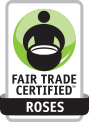 Fair Trade Certified Roses