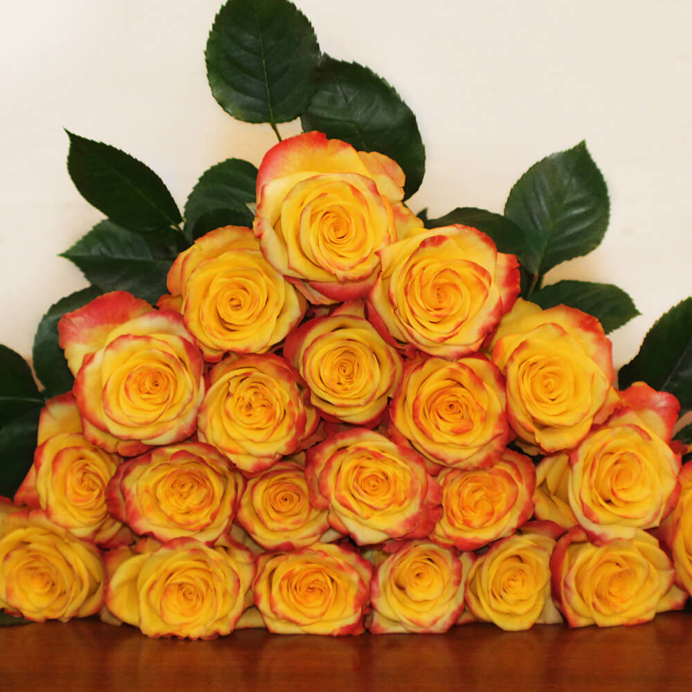 High & Yellow Flame