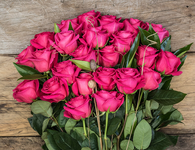 Rosas de Hoja Verde