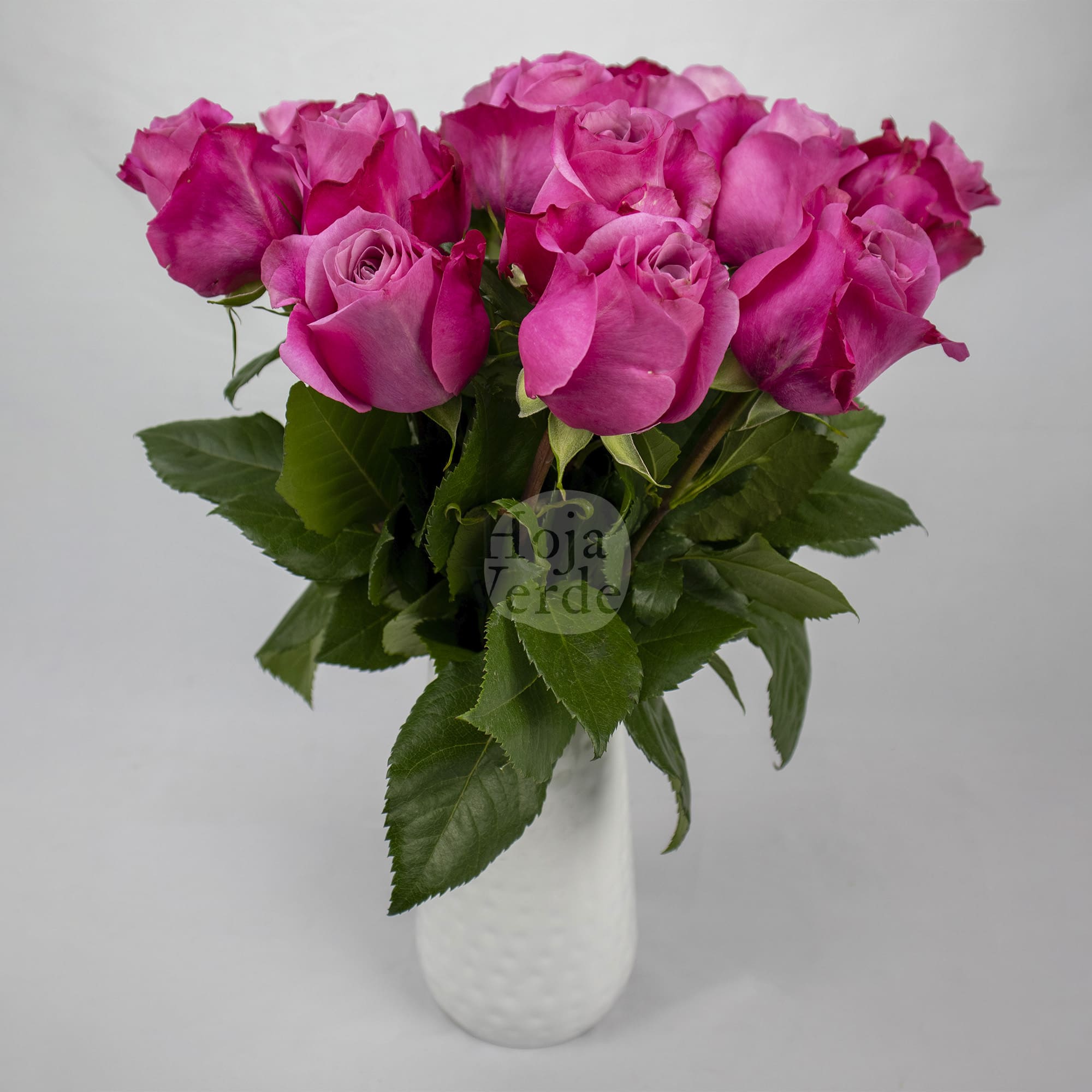 All For Love - Ecuadorian rose with soft pink and mauve petals from Hoja Verde Ecuador