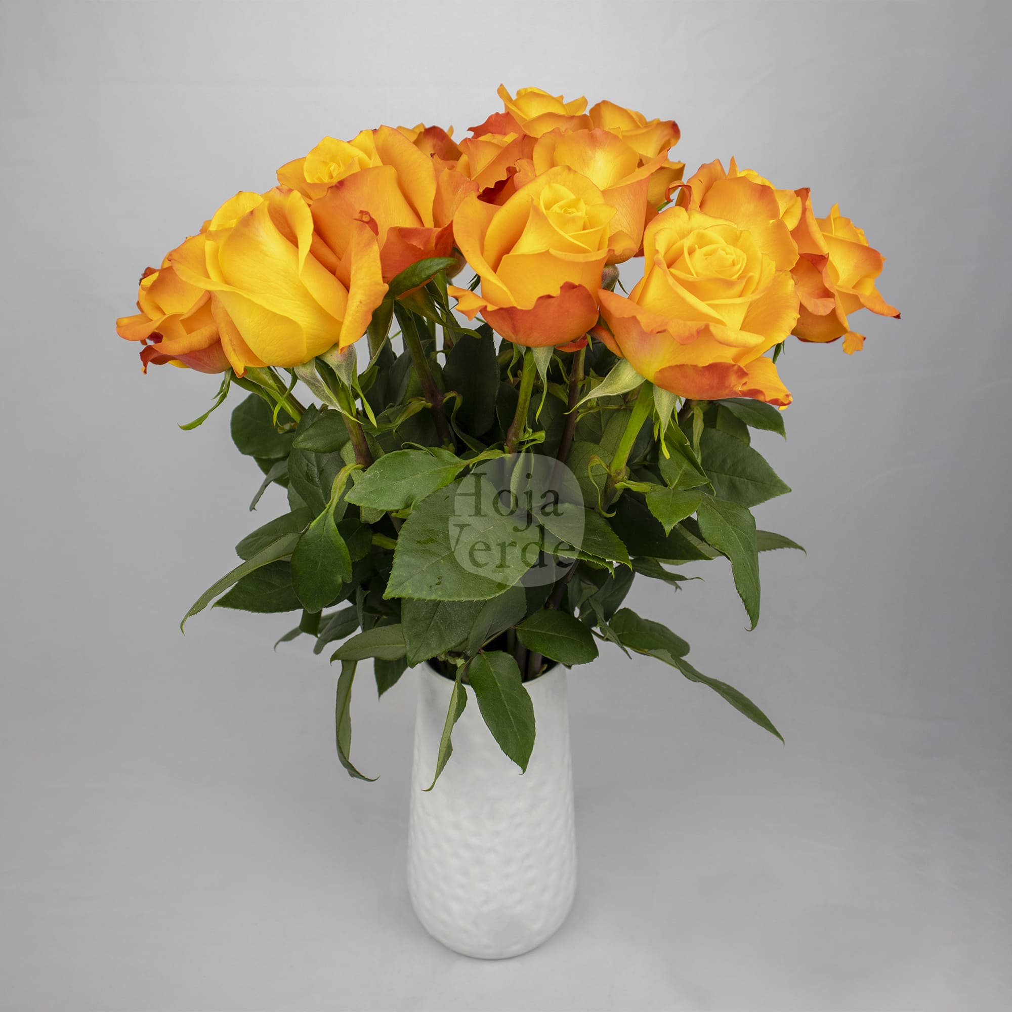 Aloha rose by Hoja Verde Roses Ecuador with vibrant ginger and orange hues