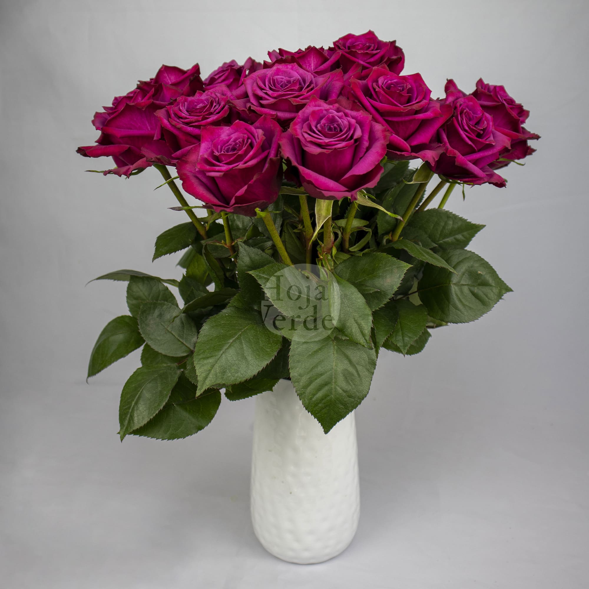 Blueberry rose by Hoja Verde, vibrant purple cut rose from Ecuador