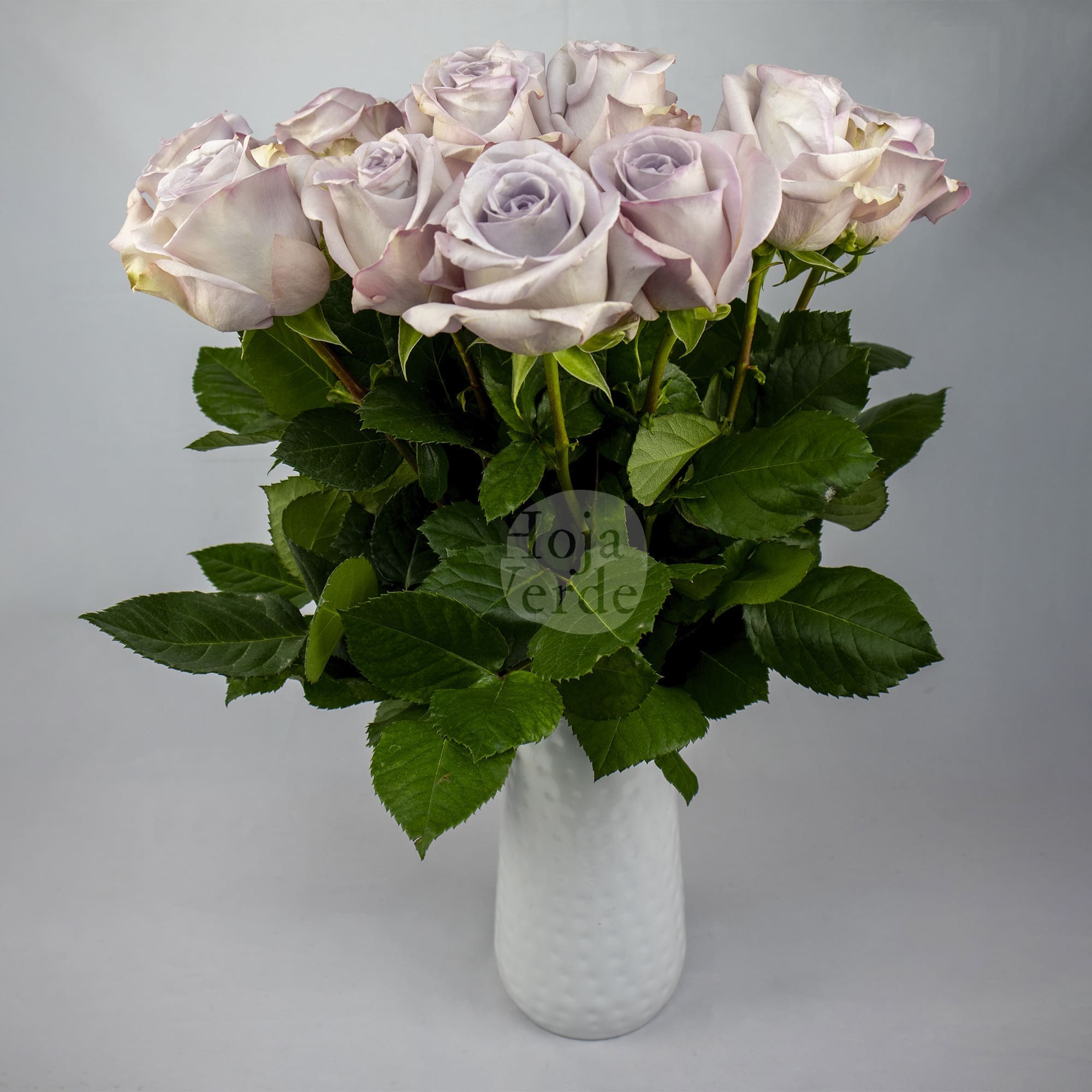 Bounty Way by Hoja Verde, Ecuadorian rose in soft lavender-grey tones with spiral-shaped blooms
