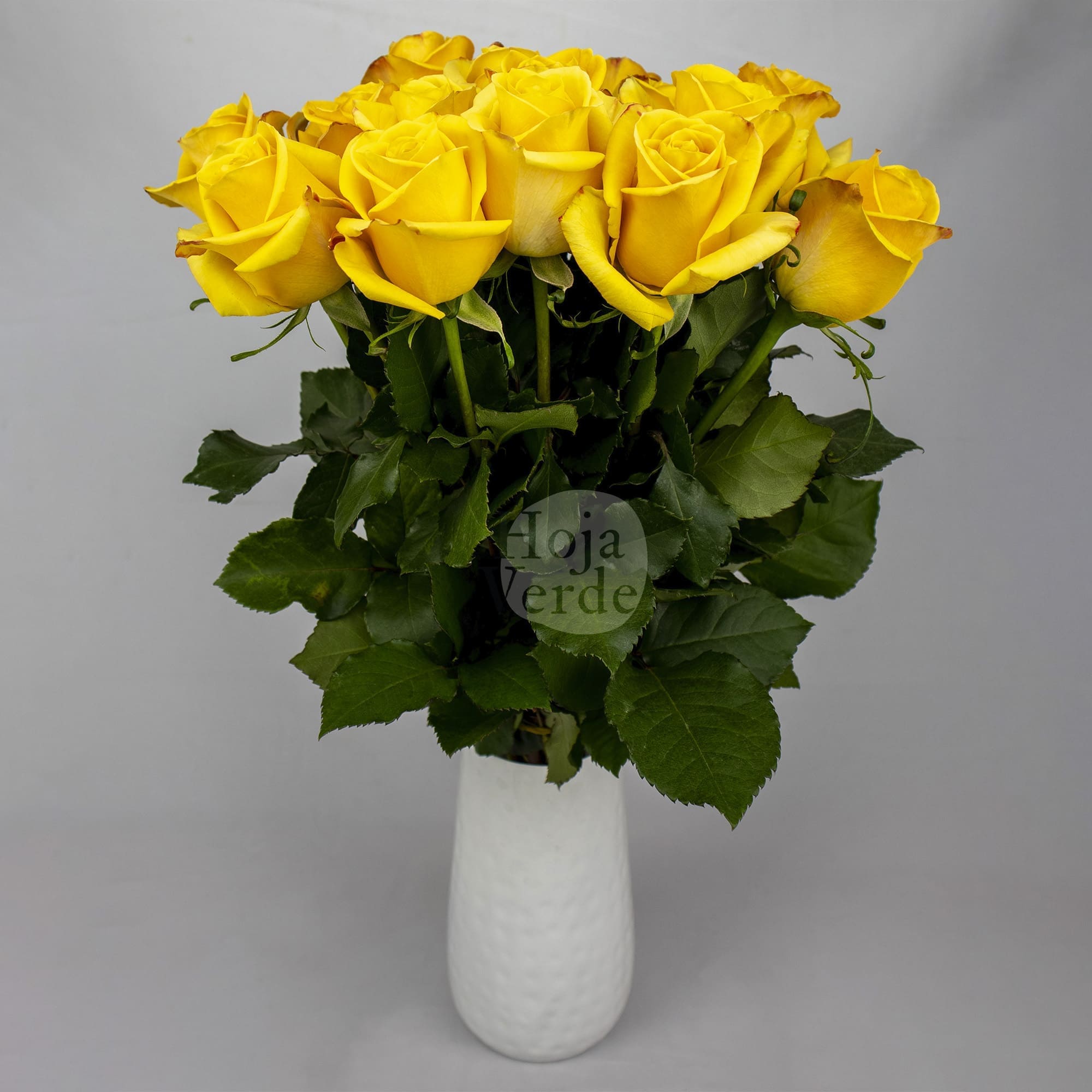 Bumblebee rose by Hoja Verde featuring a bold mustard yellow hue