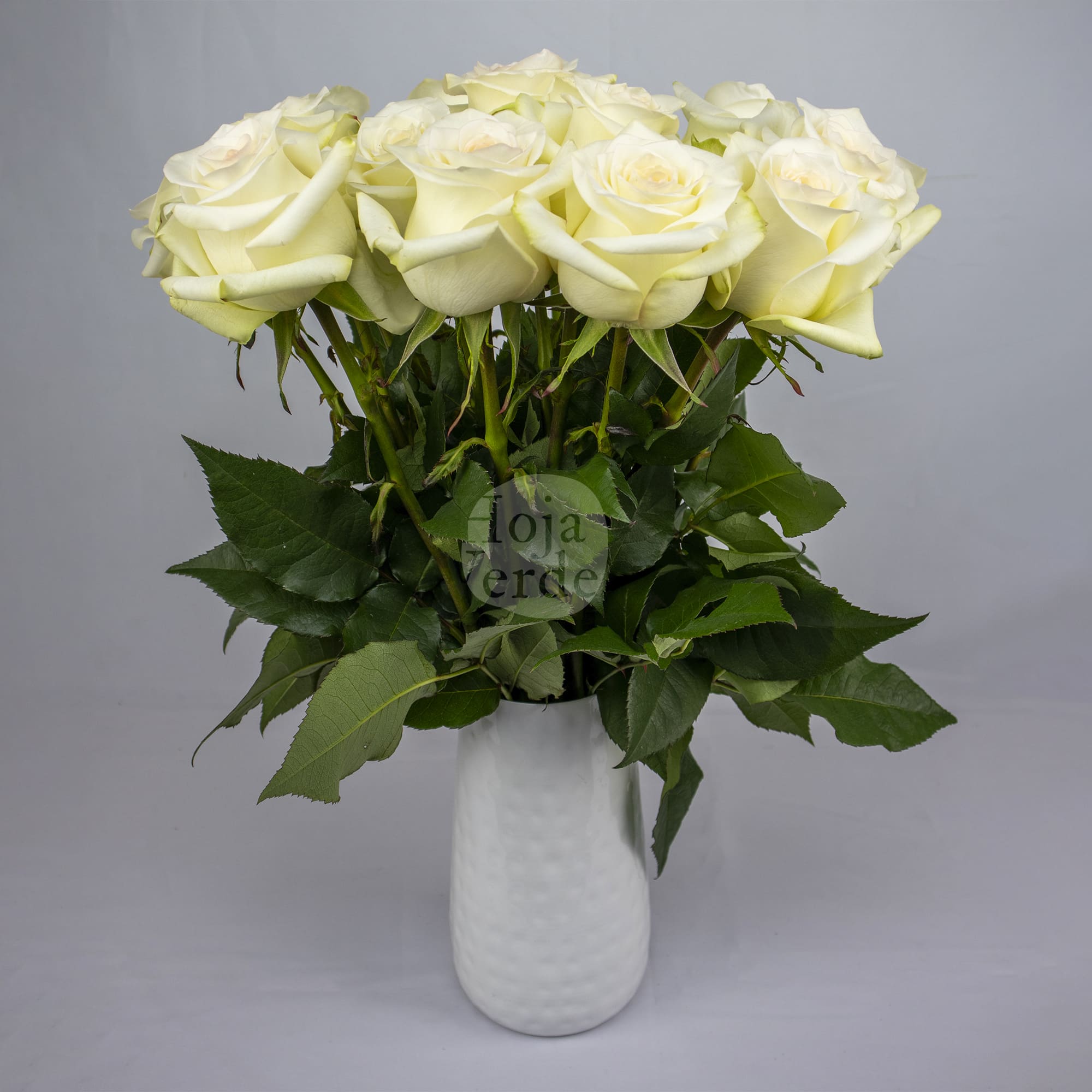 Candlelight nude rose from Ecuador by Hoja Verde Roses