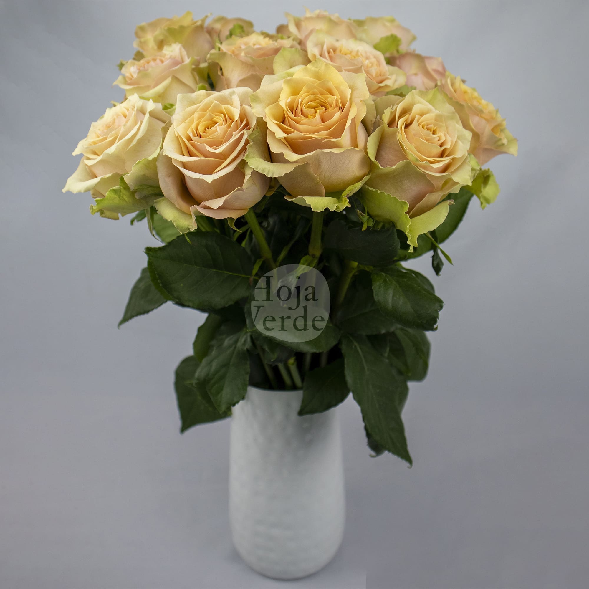 Caramel Macchiato by Hoja Verde, warm caramel-toned rose