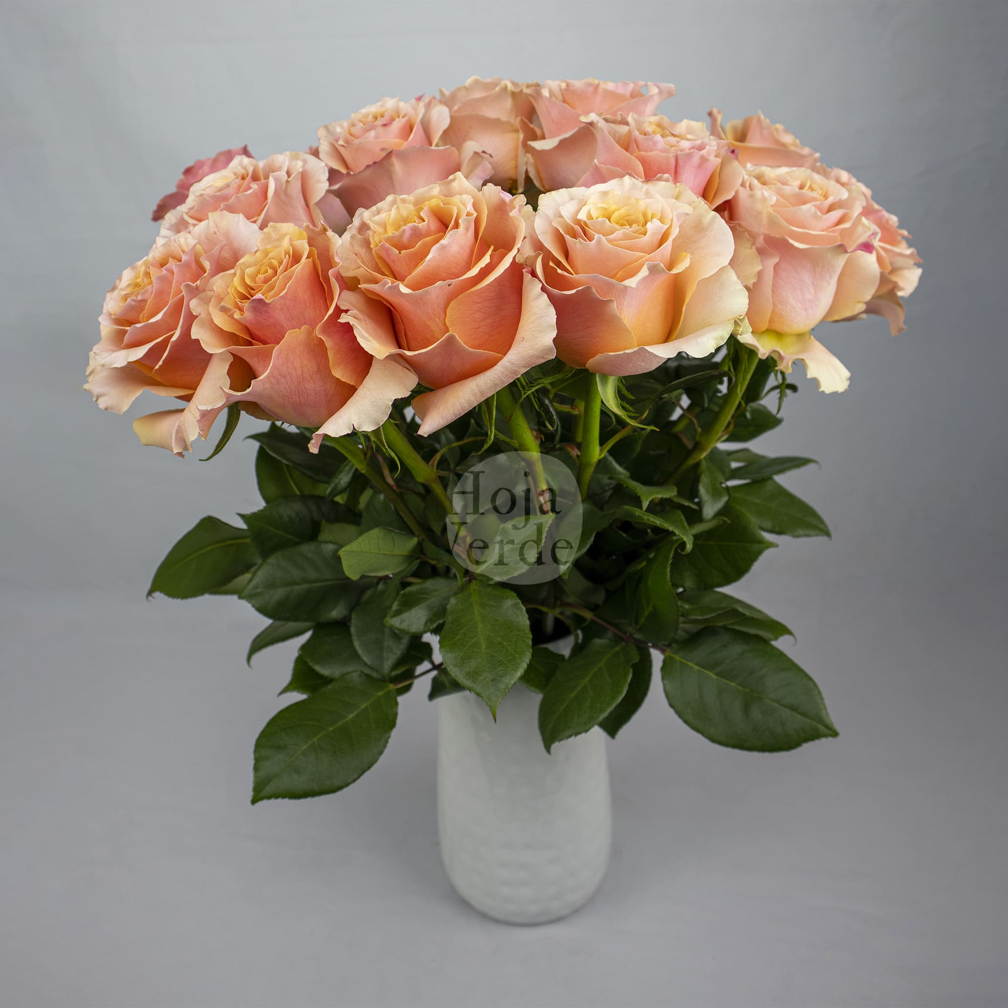 Carpe Diem vibrant peach rose by Hoja Verde with ruffled petals