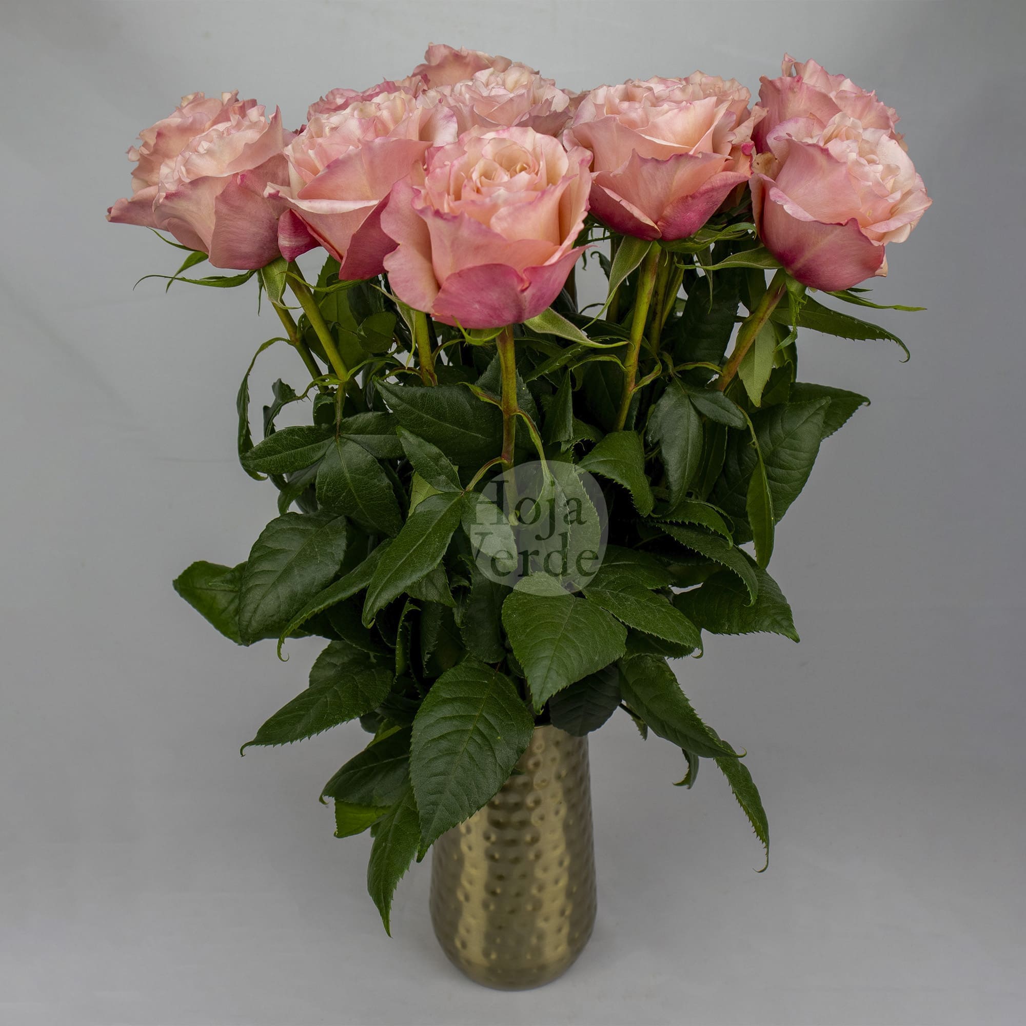 Fascination rose by Hoja Verde with soft pink and peachy pink hues