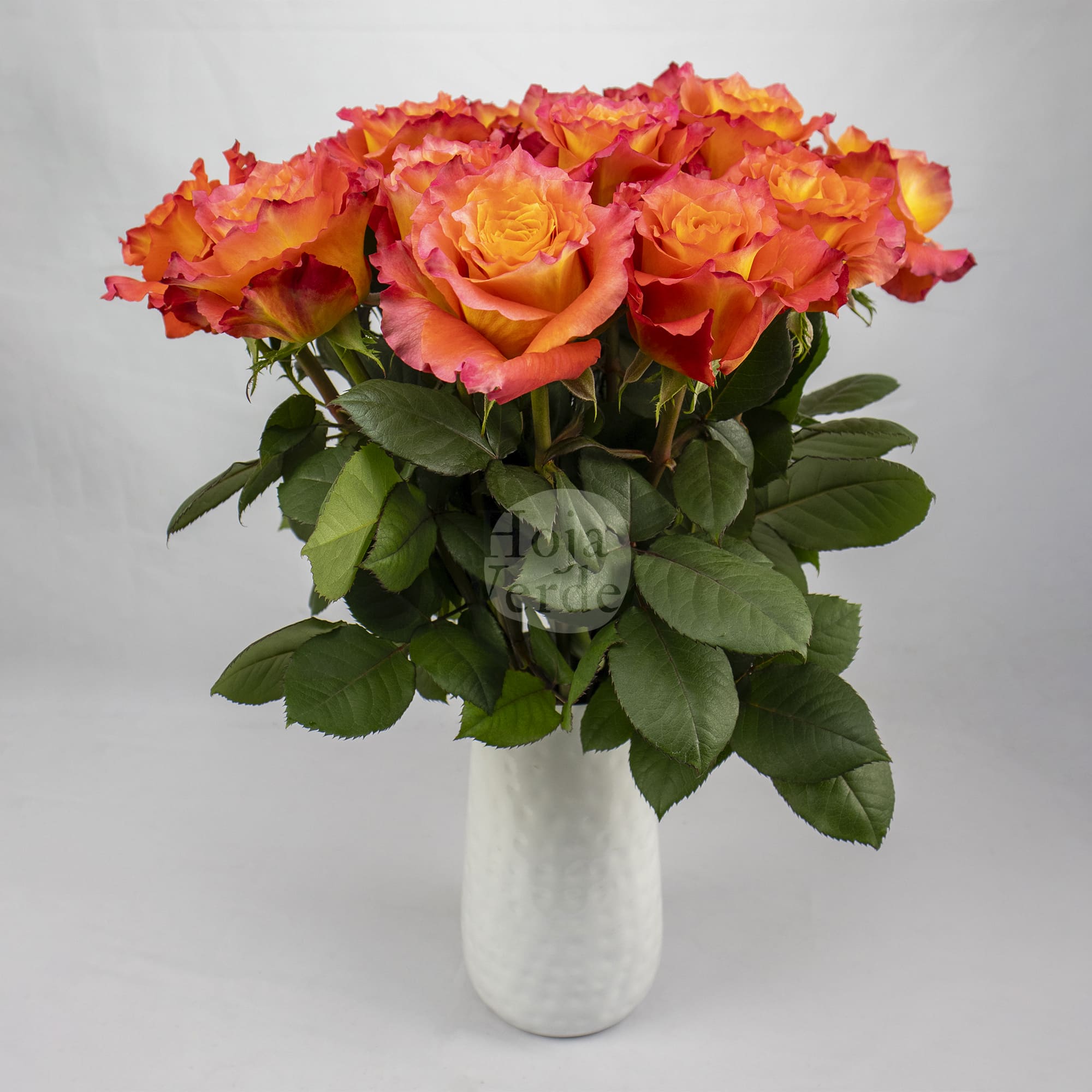 Free Spirit rose by Hoja Verde, vibrant Ecuadorian rose with coral outer petals and a warm orange center.