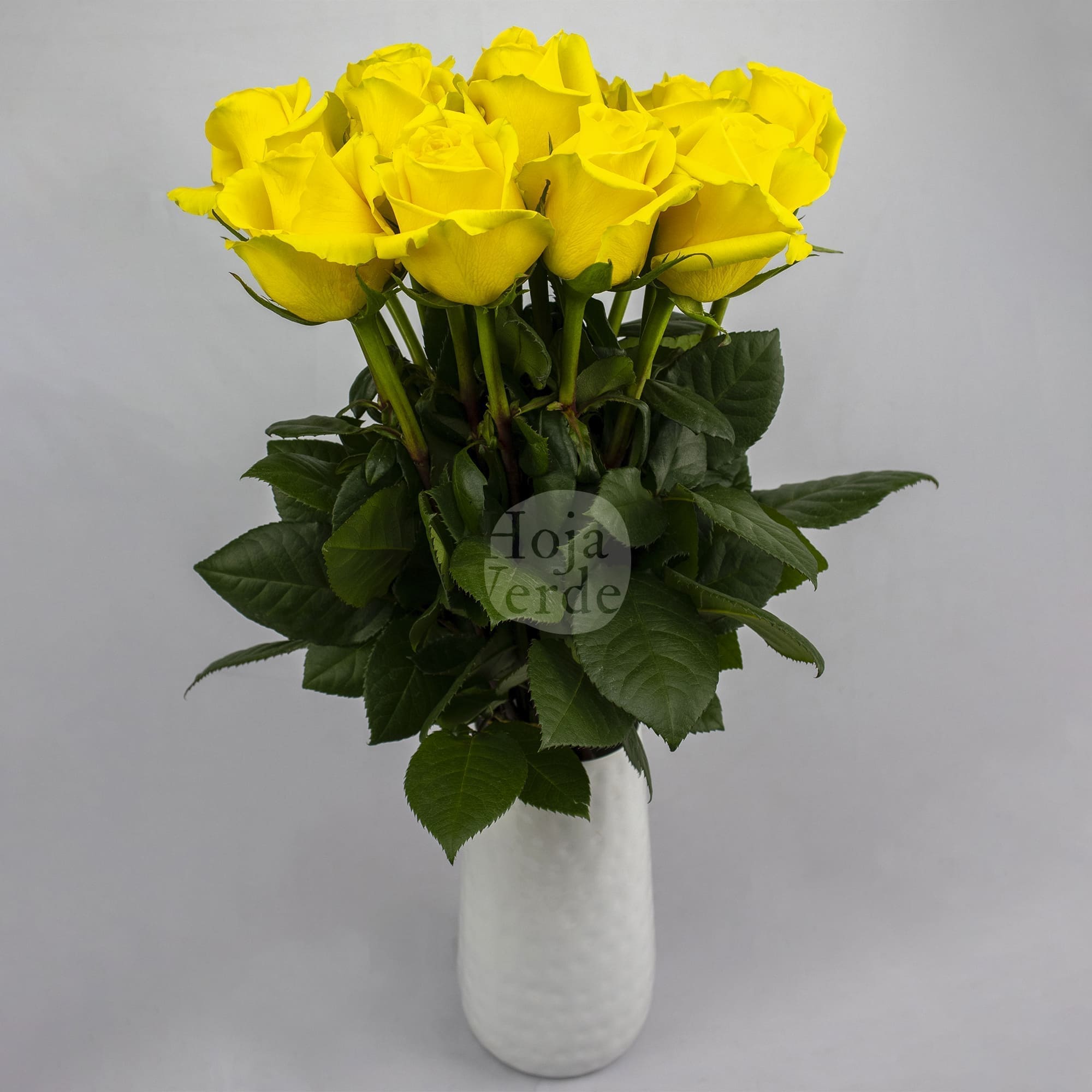 Goldfinch by Hoja Verde, a vibrant yellow rose with uniquely star-shaped petals