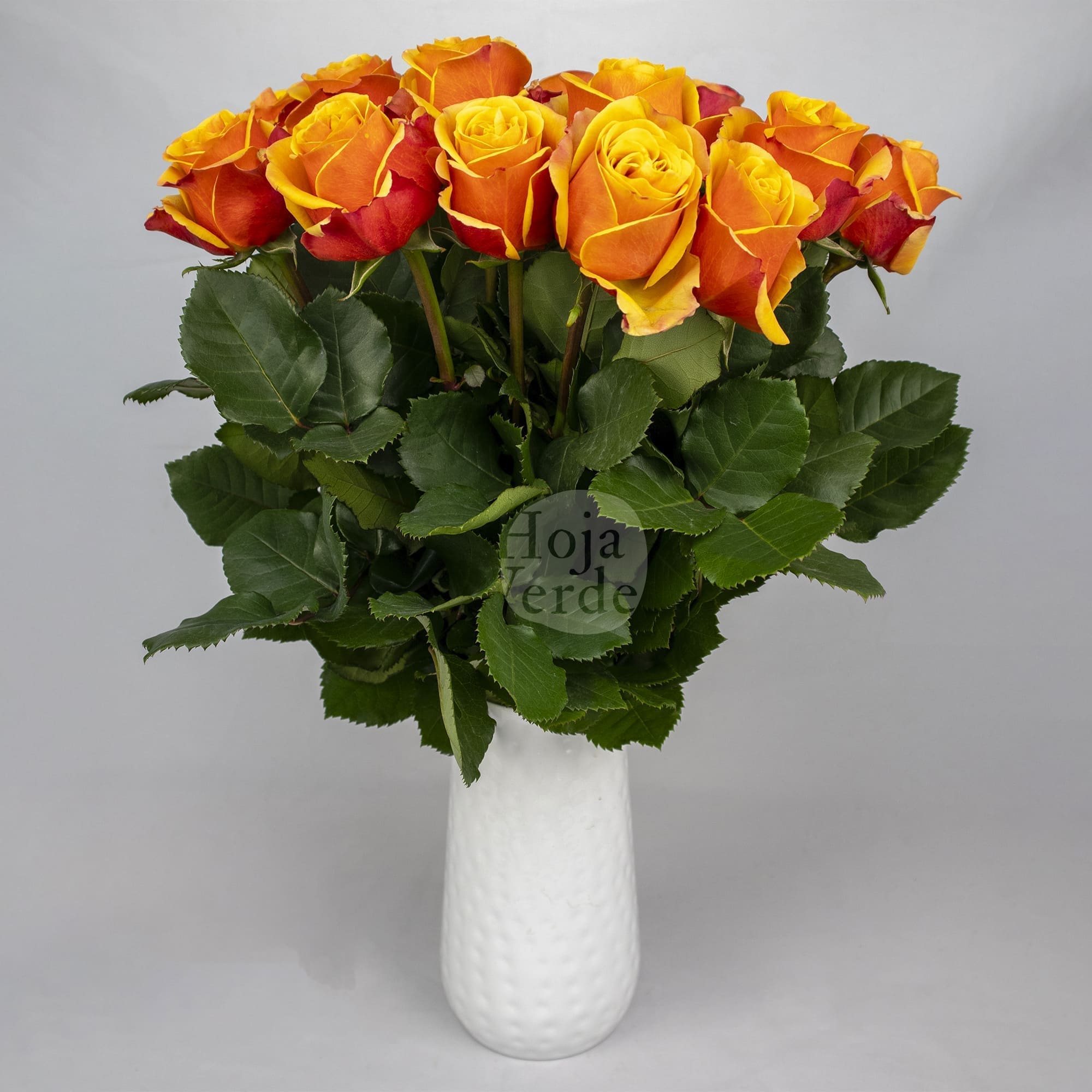 Heliana Orange rose by Hoja Verde with vibrant orange petals and a yellow-orange center
