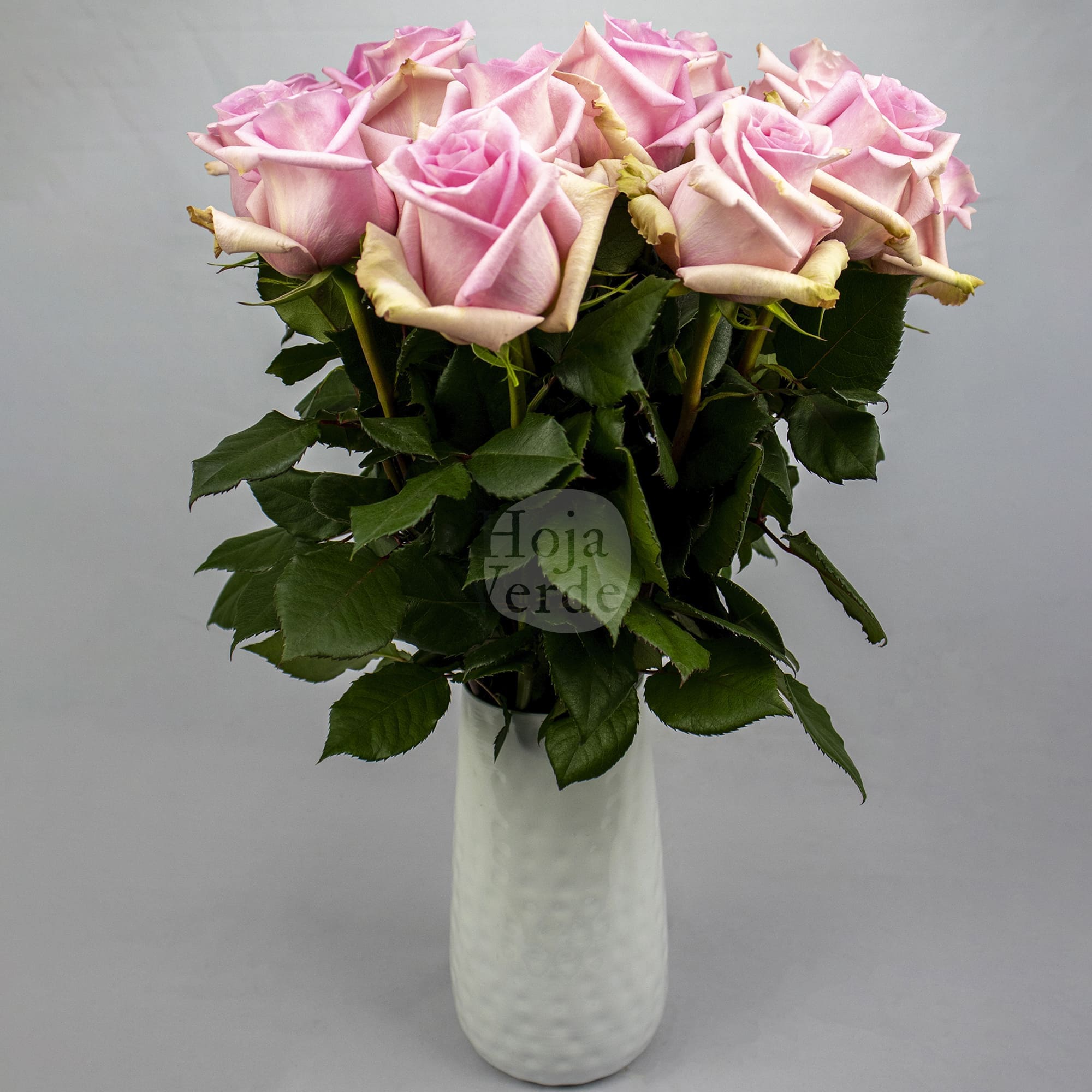 Jessica rose by Hoja Verde with soft light pink petals