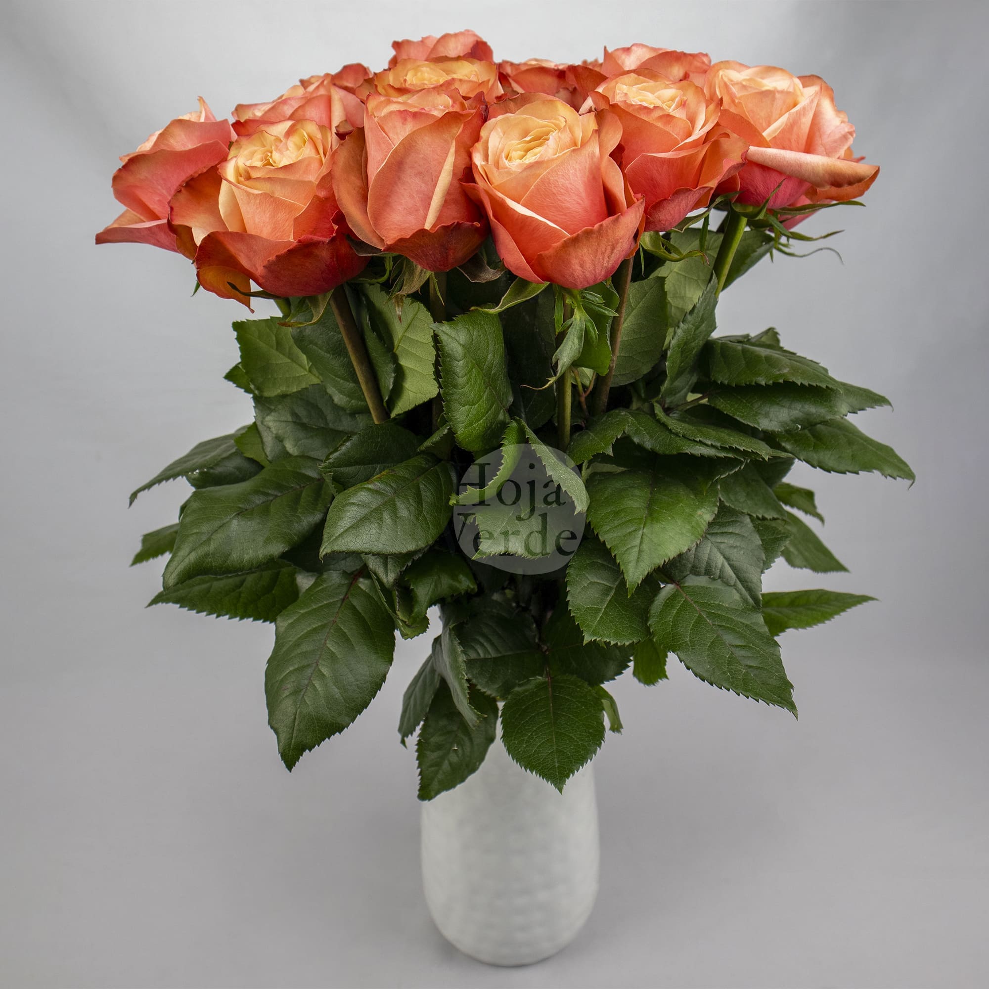 Kahala by Hoja Verde – a large, ruffled rose with creamy coral, peachy pink, and earthy peach tones
