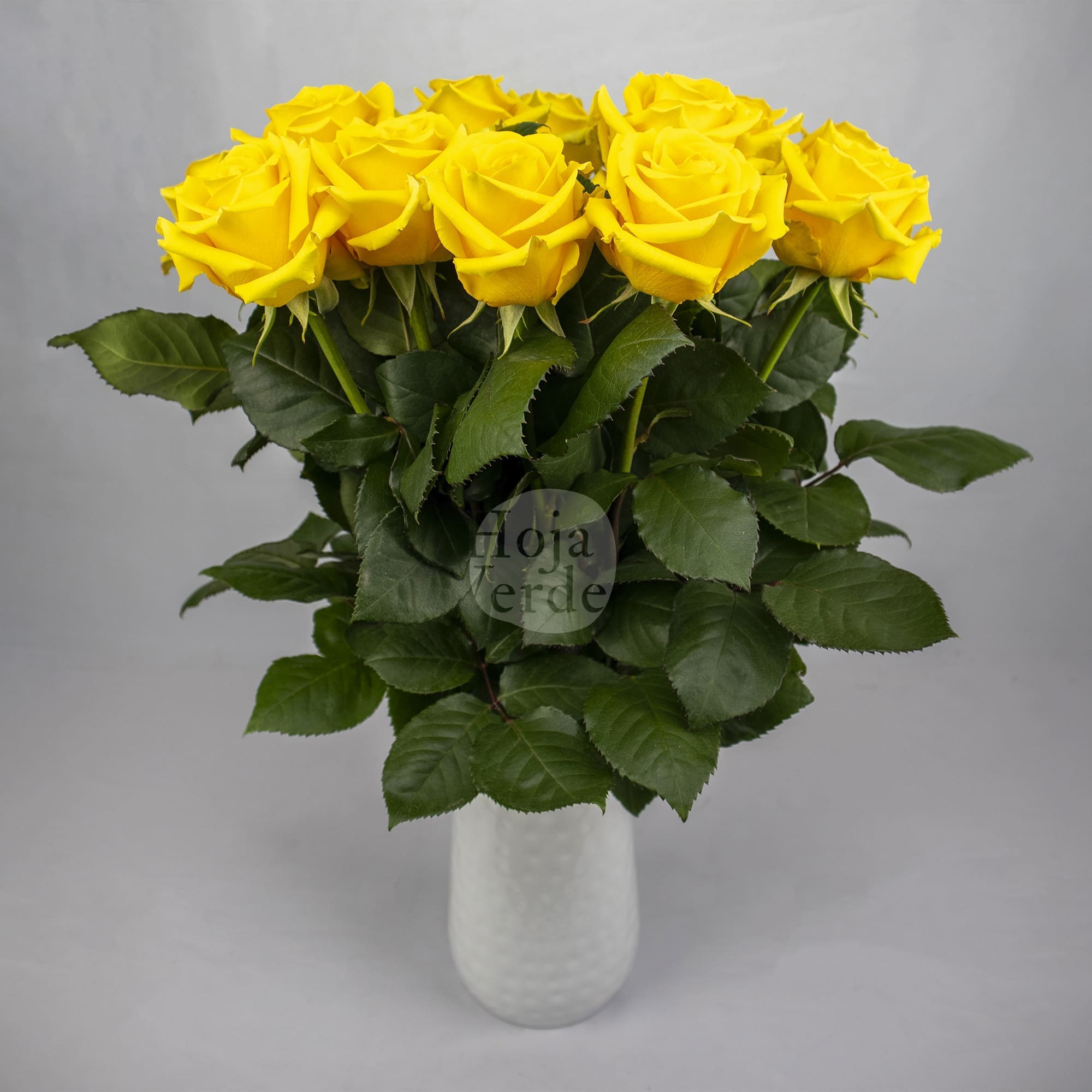 Lighthouse rose by Hoja Verde, a vibrant yellow rose with luminous petals and a radiant bloom structure.