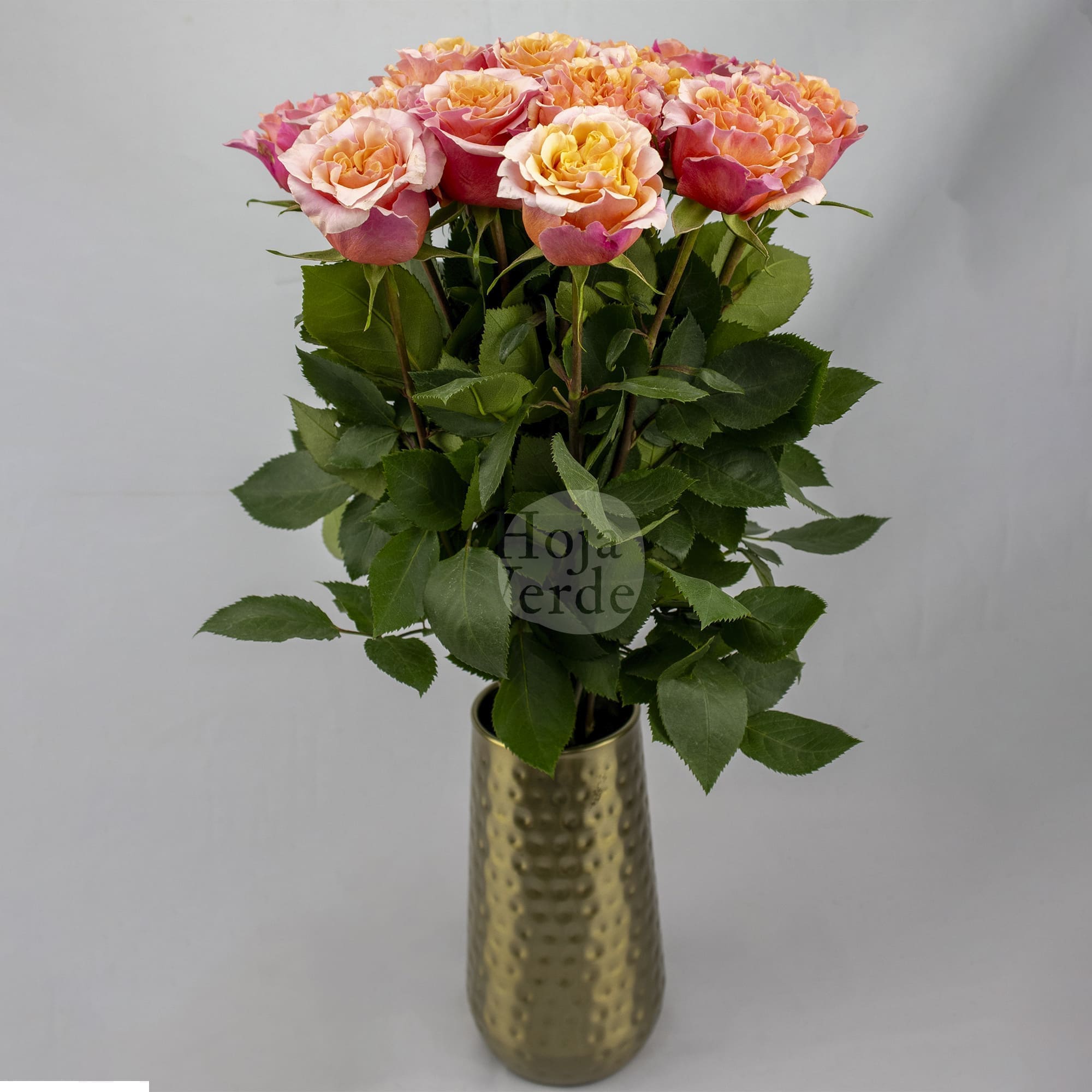 Mayra’s Peach by Hoja Verde – a ruffled garden rose in a soft peach tone with delicate light pink outer petals