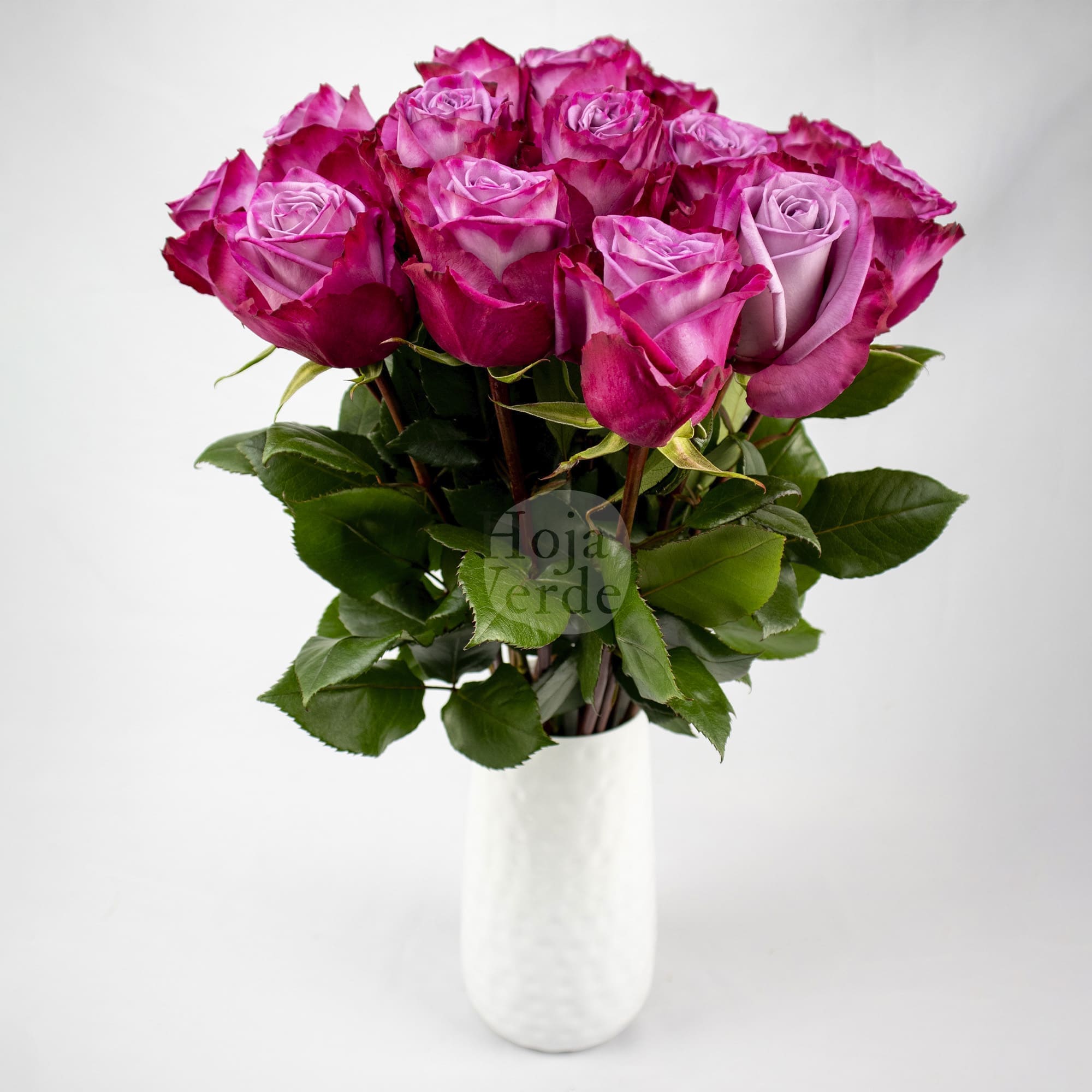 Moody Blues rose by Hoja Verde, a lavender rose with deeper-toned outer petals