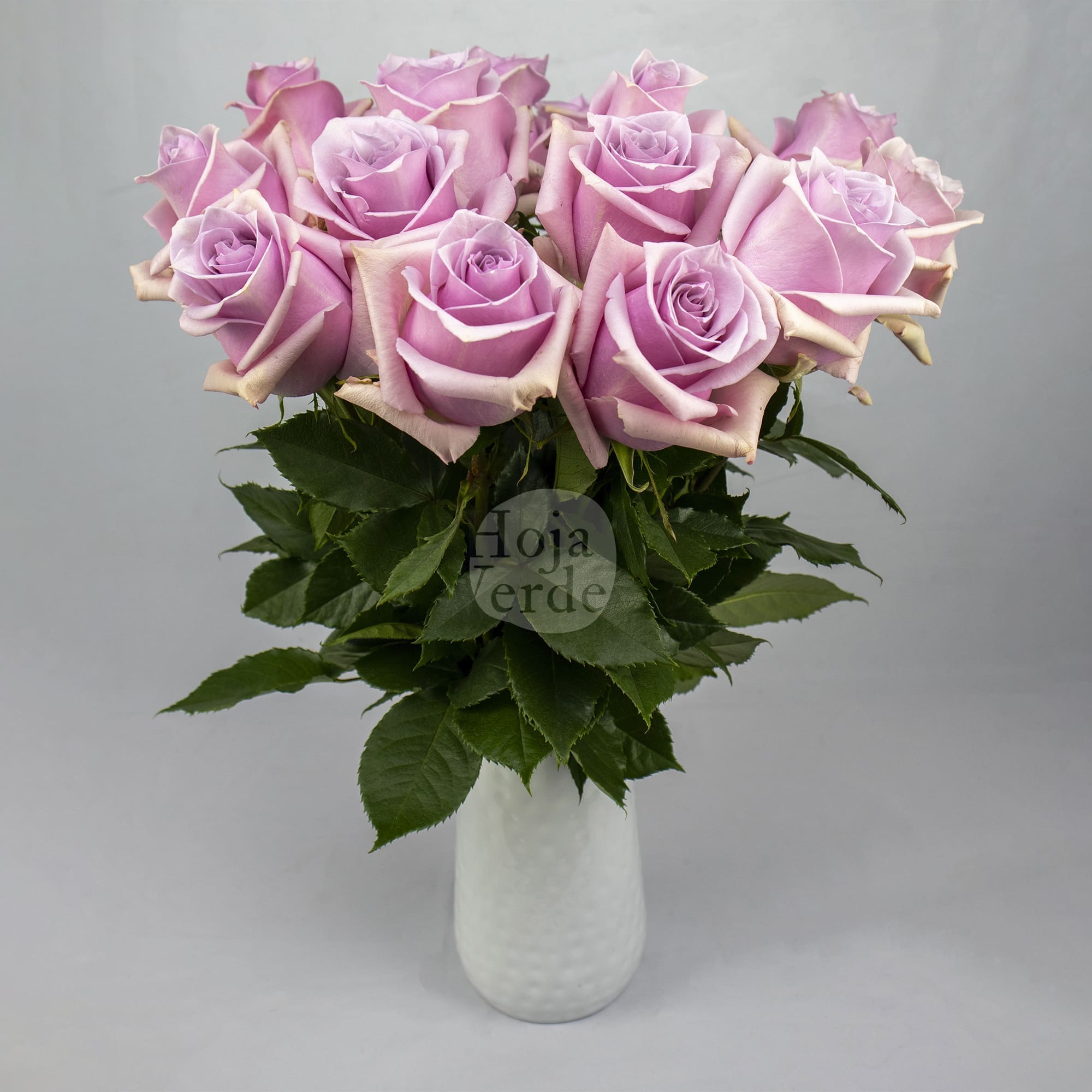 Nautica rose by Hoja Verde, a soft lavender-pink variety with a delicate, graceful shape and velvety petals.