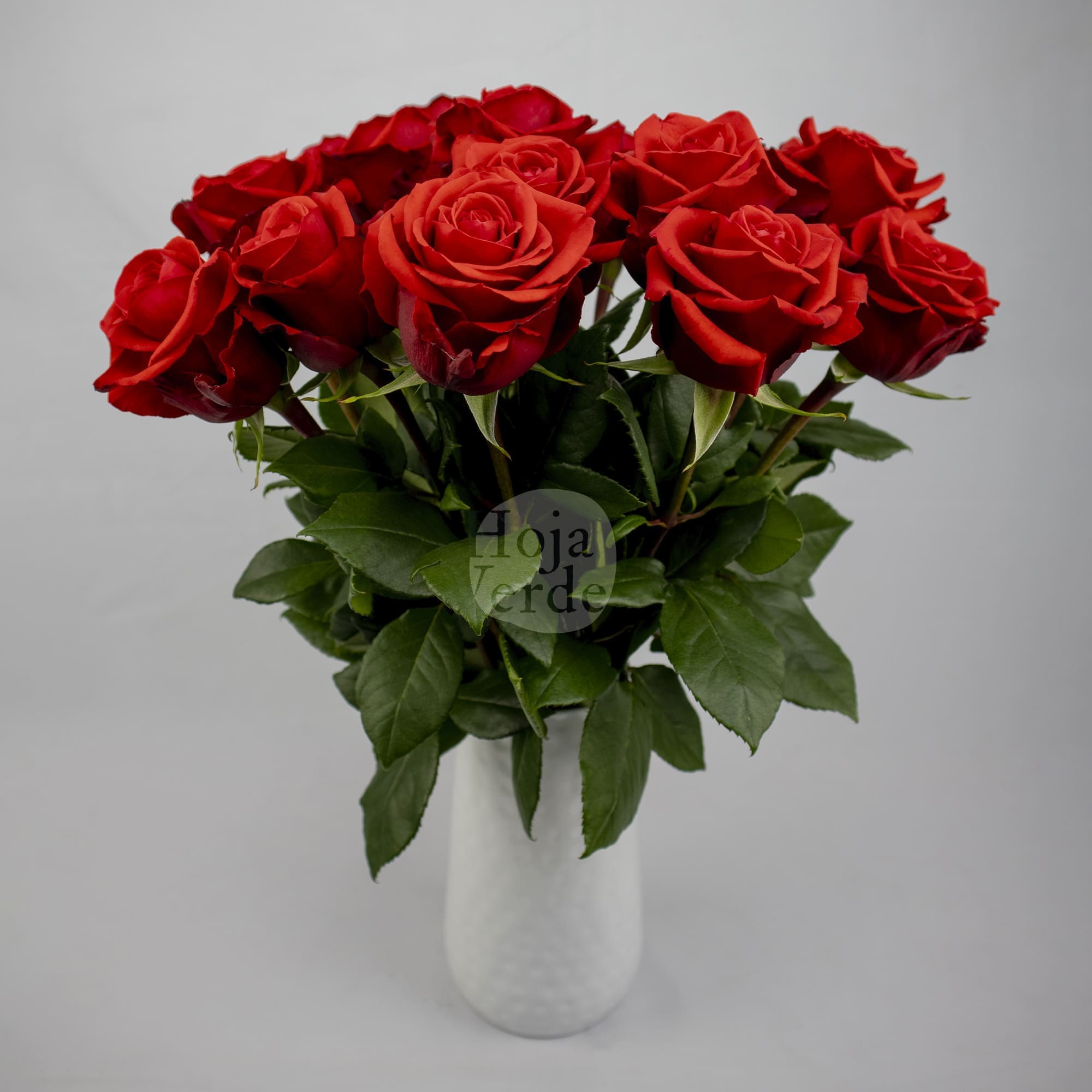 Nina rose by Hoja Verde, a striking reddish burnt orange variety with earthy undertones and a classic rose shape