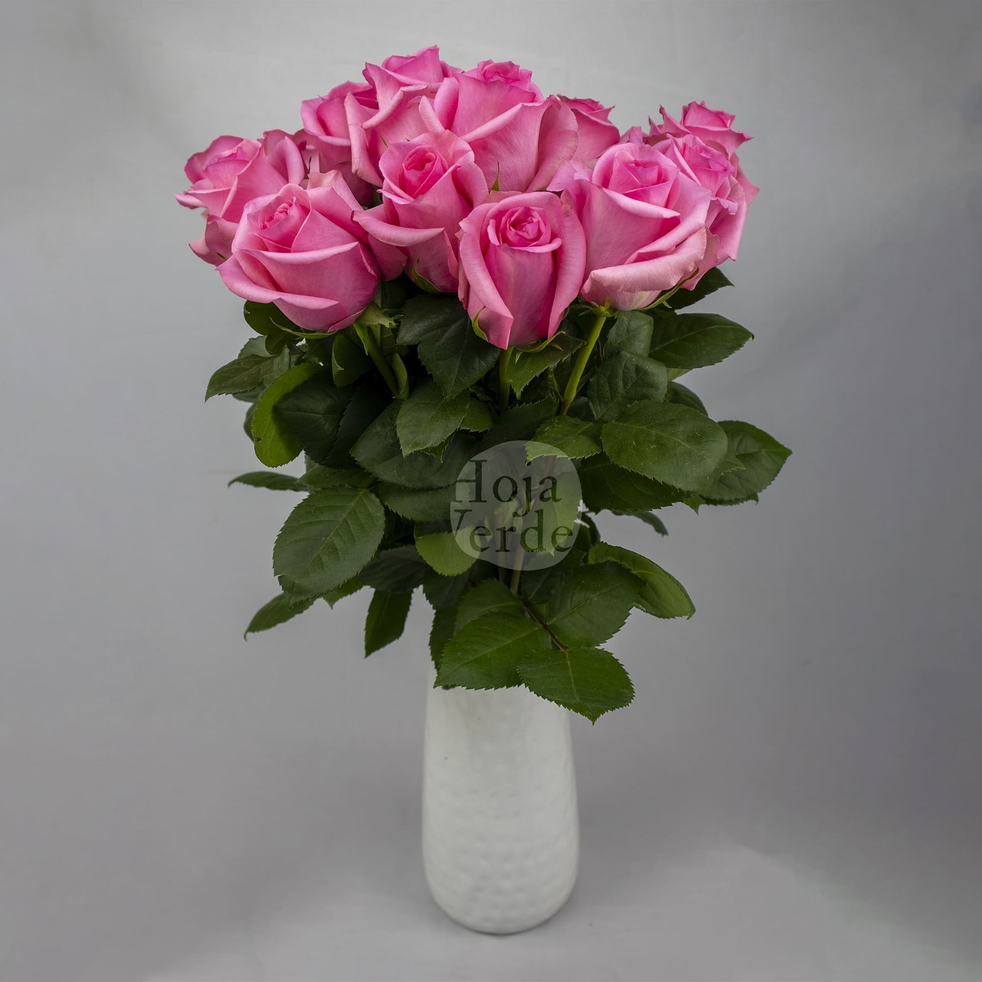 Opala rose by Hoja Verde, medium pink rose with star-shaped petals