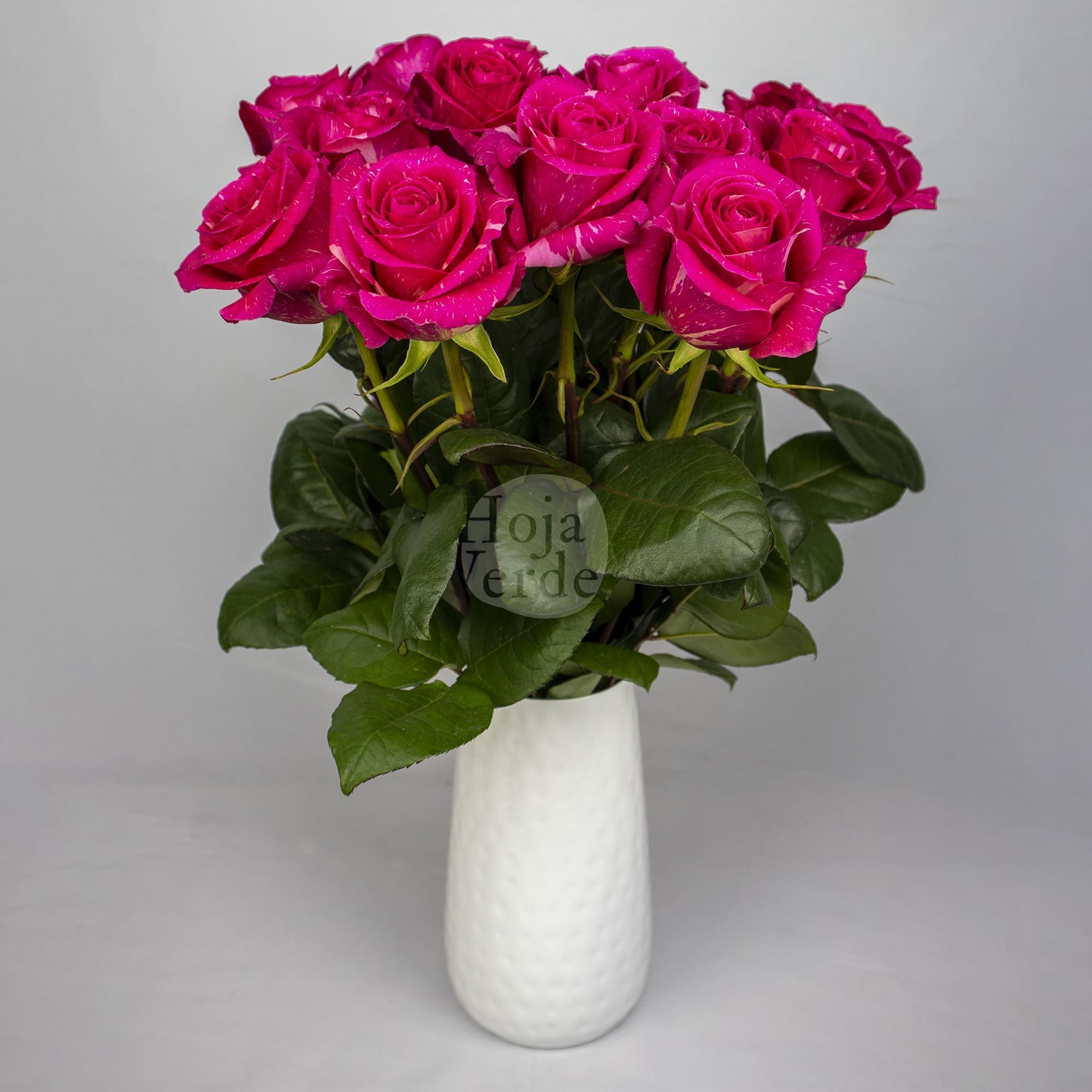 Hoja Verde’s Pandora rose showing deep pink petals blended with soft pink and creamy highlights.