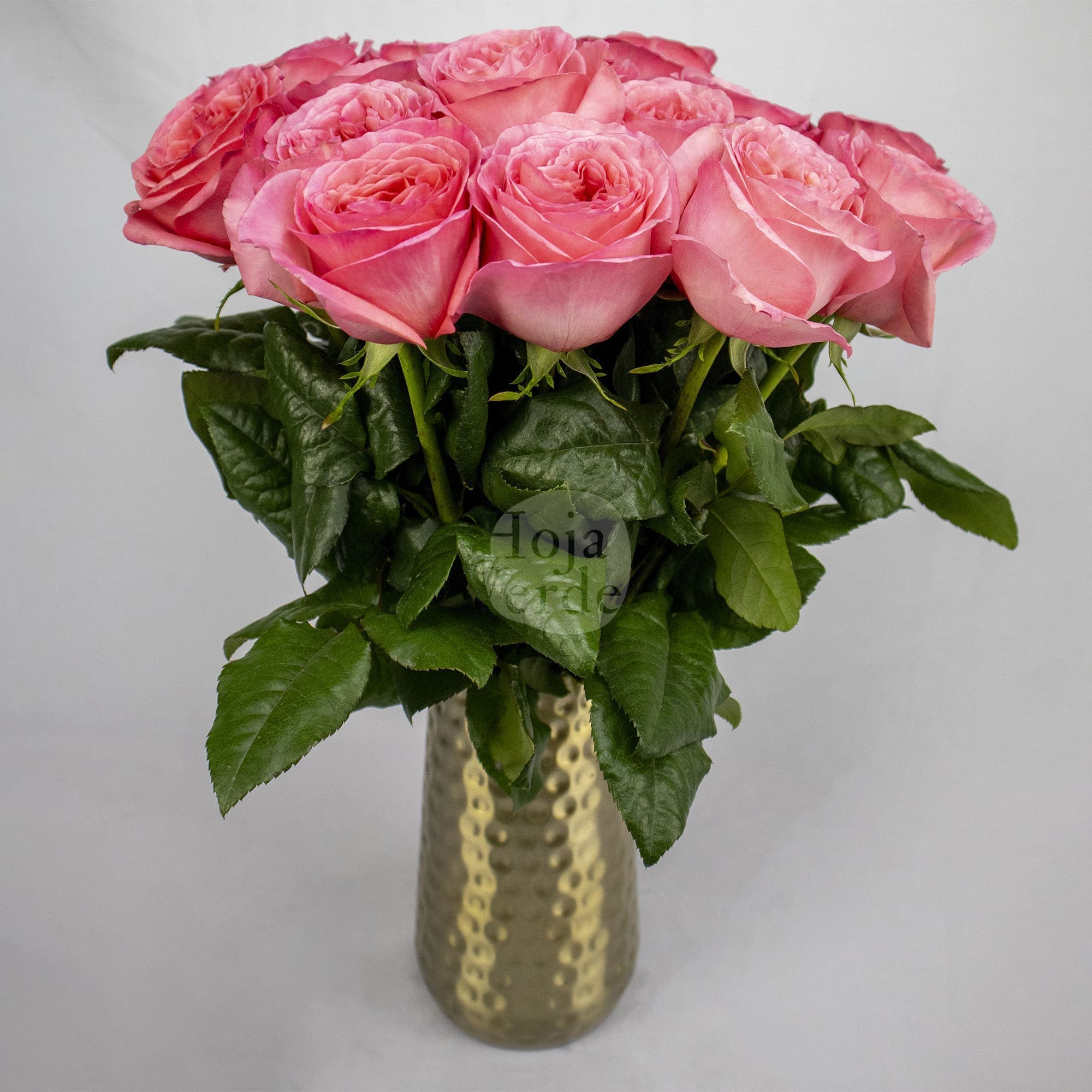 Pink X-pression garden rose with ruffled petals in pink and coral tones by Hoja Verde.