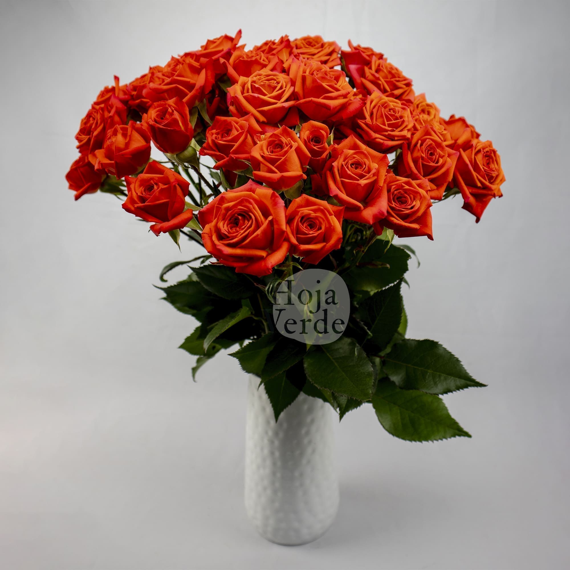 Bright Sensation by Hoja Verde is a premium Ecuadorian spray rose featuring an exceptionally bright orange hue