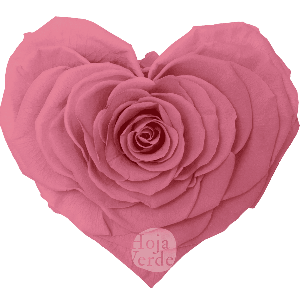 Pink Heart-Shaped Preserved Rose by Hoja Verde