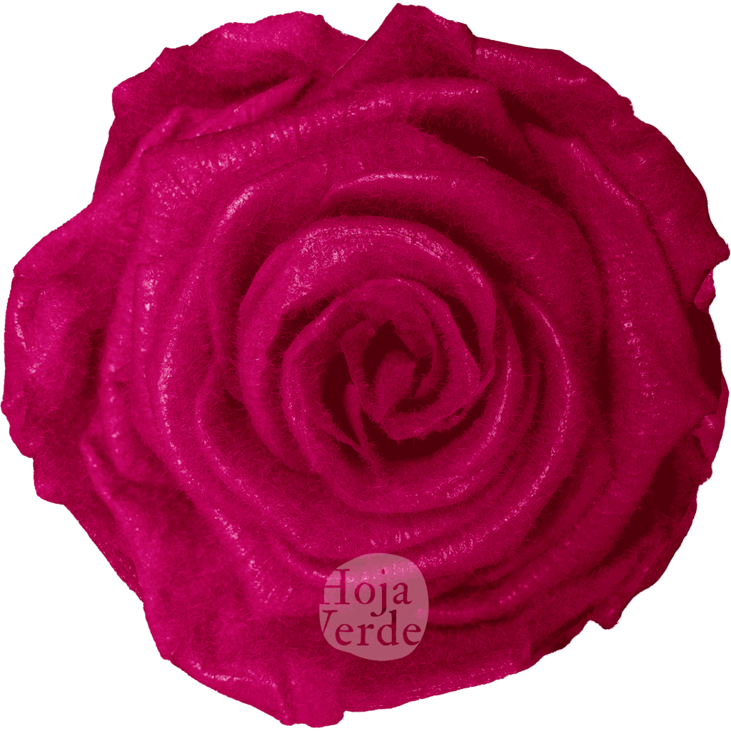 Teddy Fuchsia preserved rose — bold fuchsia tone with velvety, fluffy texture by Hoja Verde