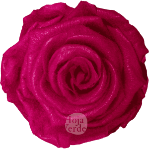Teddy Fuchsia preserved rose — bold fuchsia tone with velvety, fluffy texture by Hoja Verde