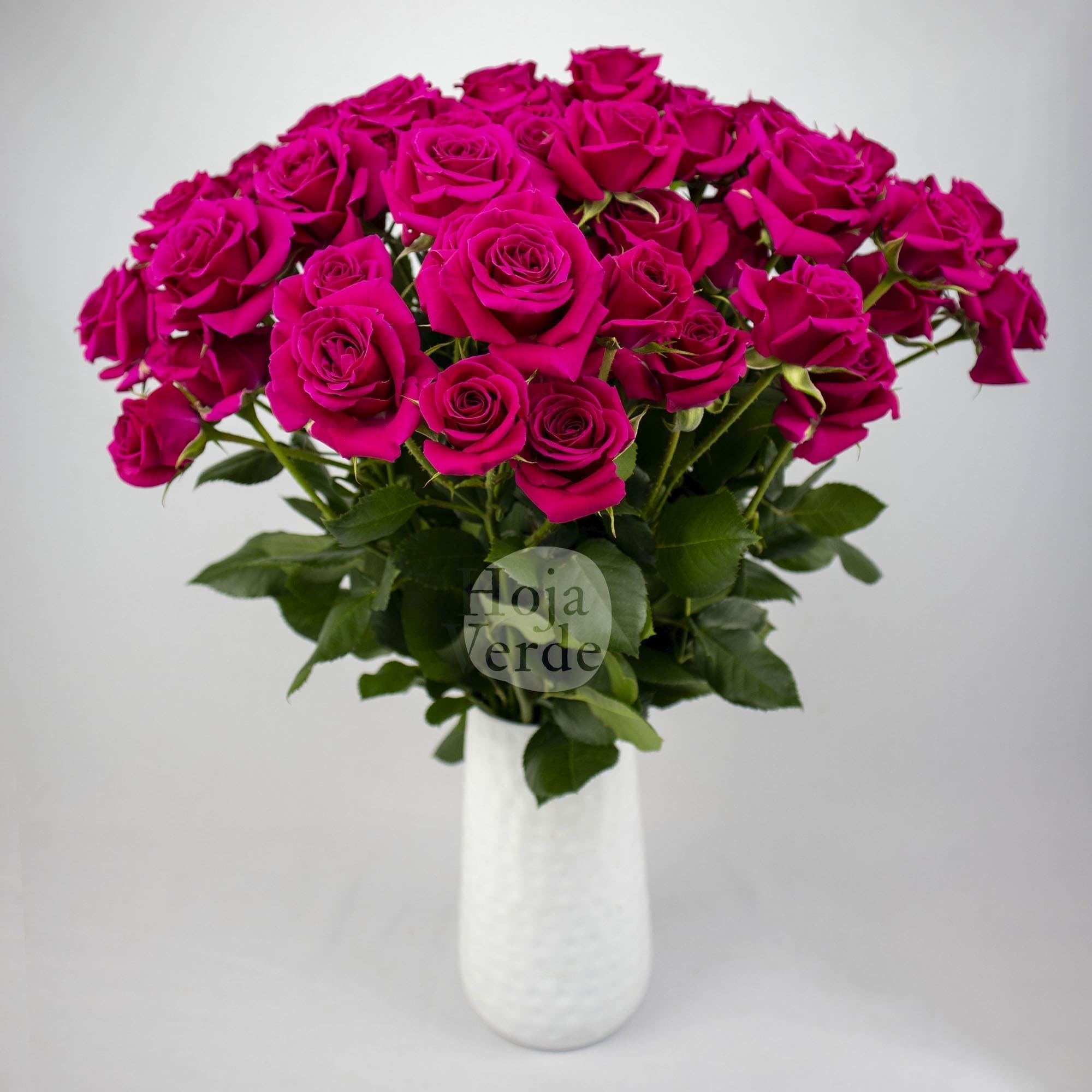 Gem Star by Hoja Verde is a premium Ecuadorian spray rose featuring a vibrant hot pink hue