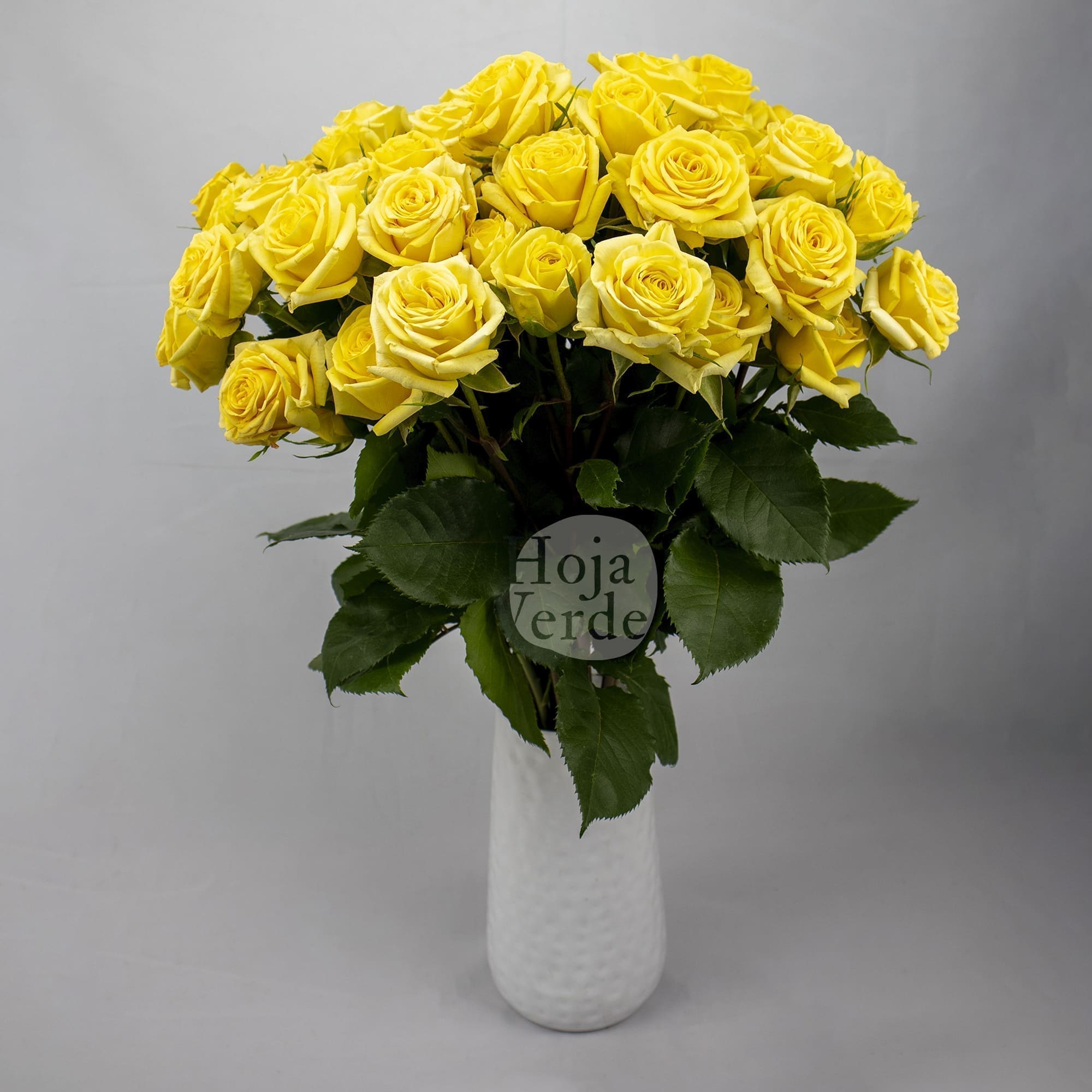 Golden Blossom premium Ecuadorian spray rose by Hoja Verde — bright yellow tone