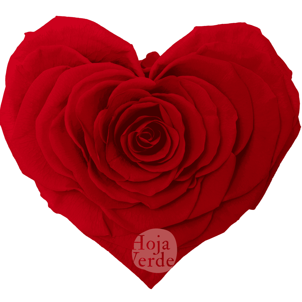 Light Red Heart-Shaped Preserved Rose by Hoja Verde