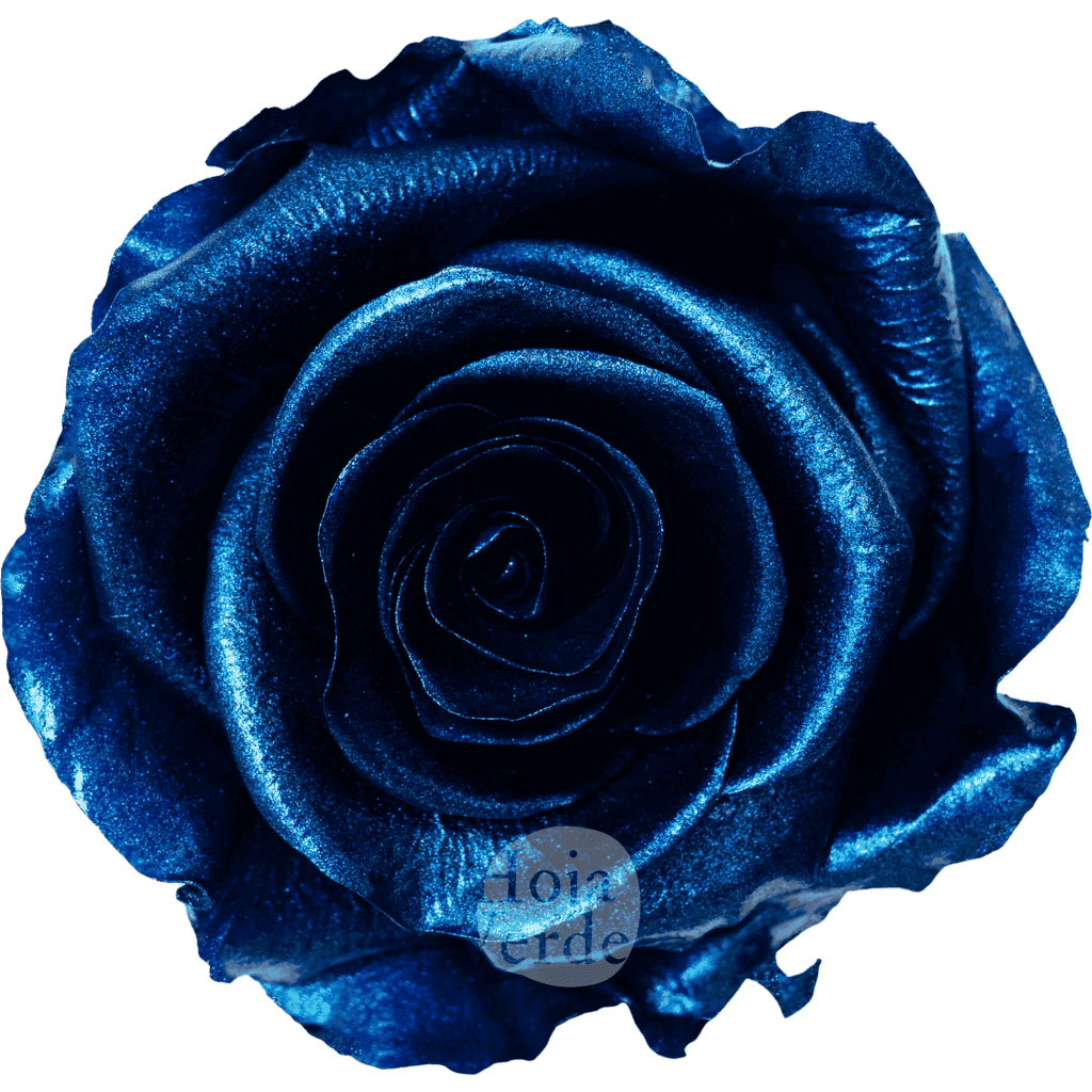 Discover Light Blue by Hoja Verde, preserved Ecuadorian rose painted with a metallic light blue finish