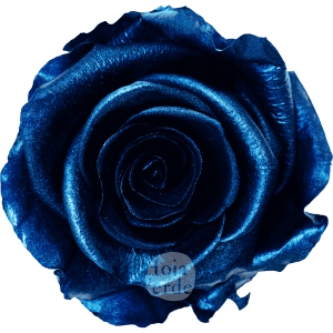 Discover Light Blue by Hoja Verde, preserved Ecuadorian rose painted with a metallic light blue finish