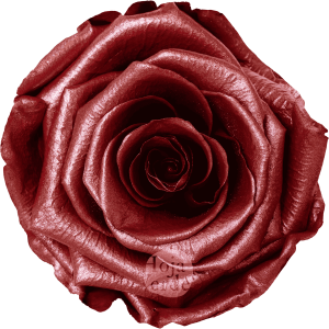 Discover Metallic Red by Hoja Verde, preserved Ecuadorian rose painted with a bold metallic red finish