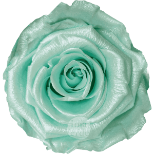 Discover Mint Glow by Hoja Verde, preserved Ecuadorian rose in soft mint pastel