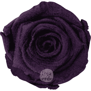 Teddy Purple preserved rose, vibrant purple tone with velvety, fluffy texture by Hoja Verde.