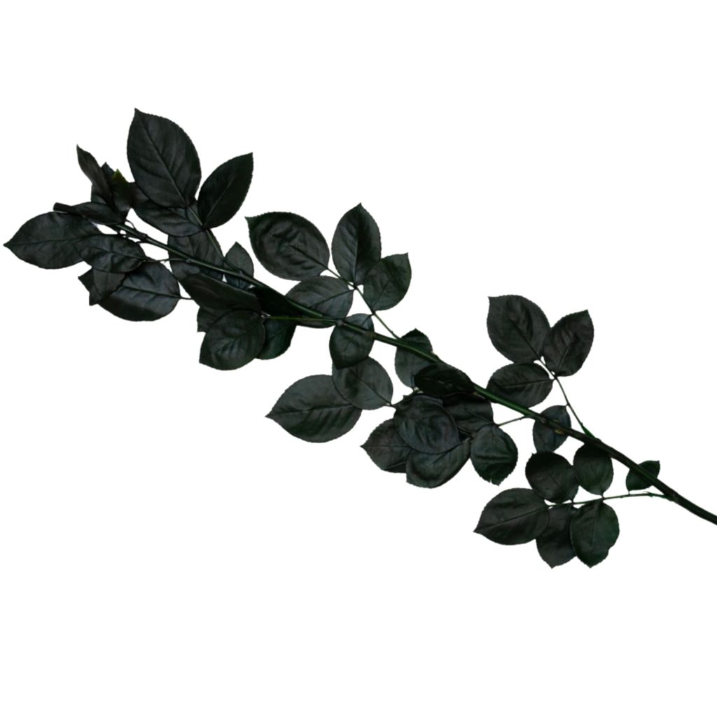 Hoja Verde preserved Stems, Leaves & Sepals from Ecuador