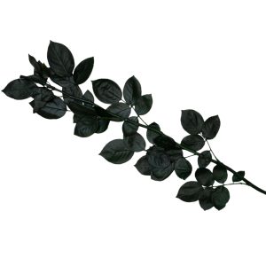 Hoja Verde preserved Stems, Leaves & Sepals from Ecuador