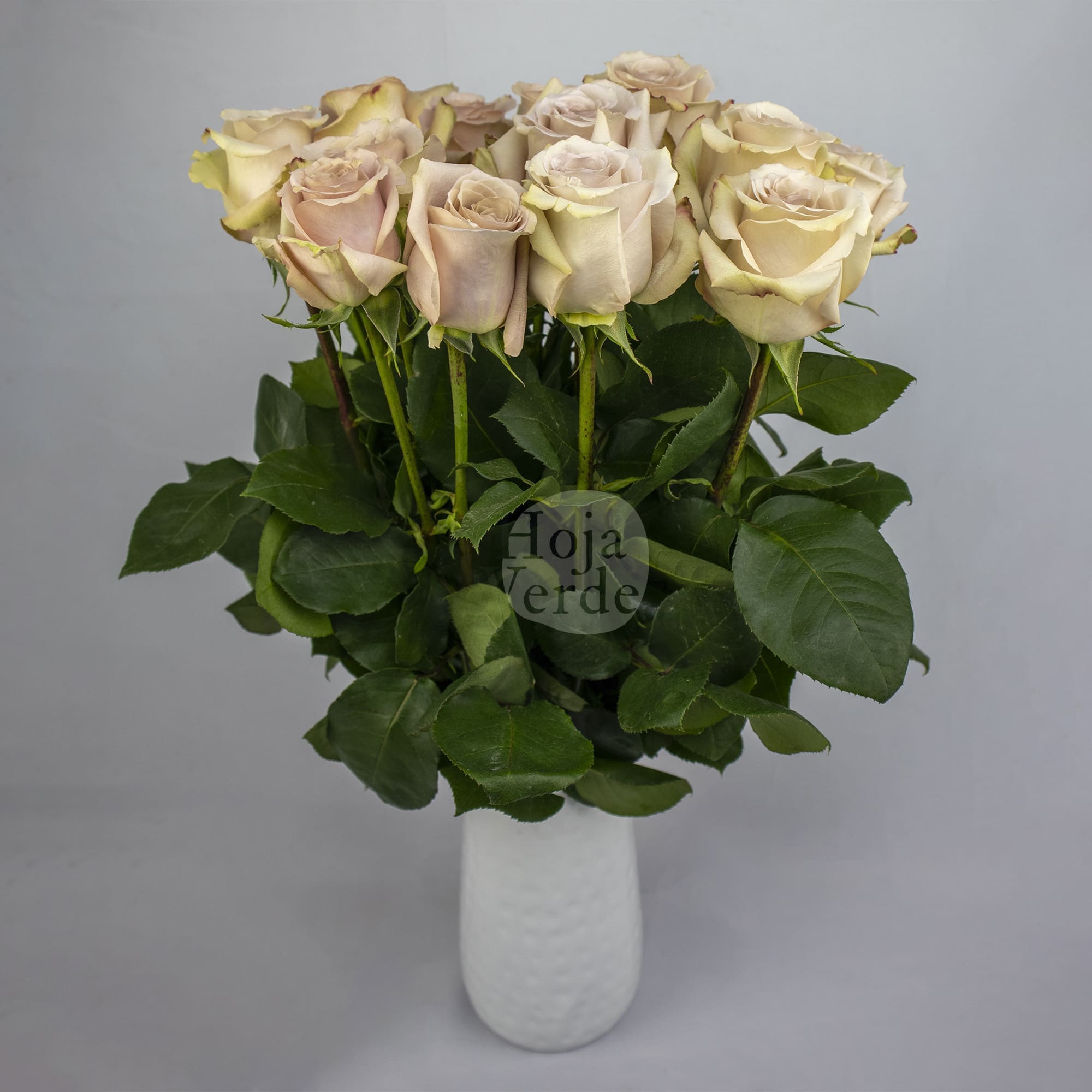 Quicksand by Hoja Verde, Ecuadorian rose — ivory, sand, and lavender-toned variety