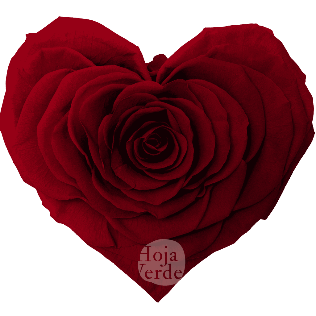 Red Heart-Shaped Preserved Rose by Hoja Verde