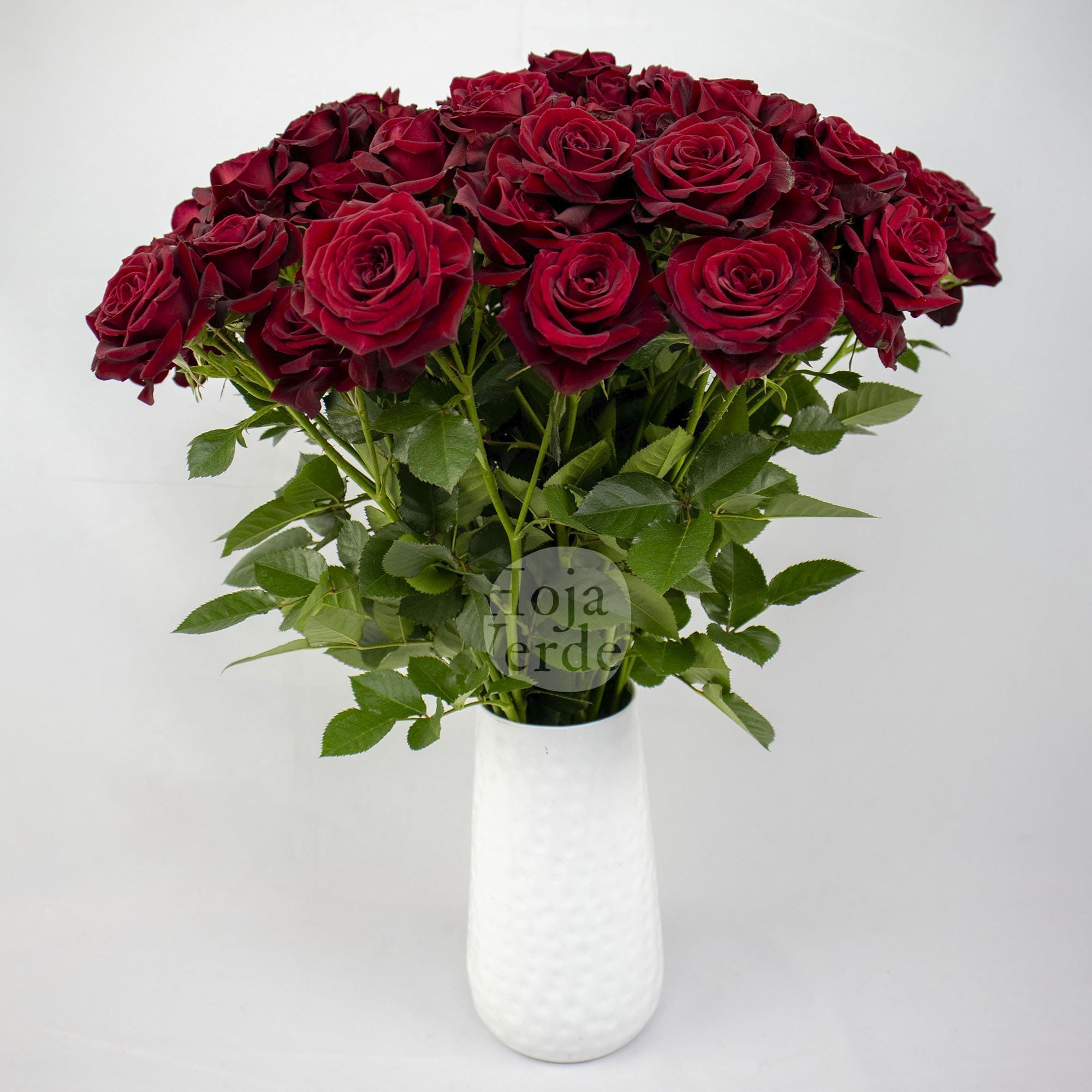 Rubicon, Ecuadorian bold red spray rose by Hoja Verde