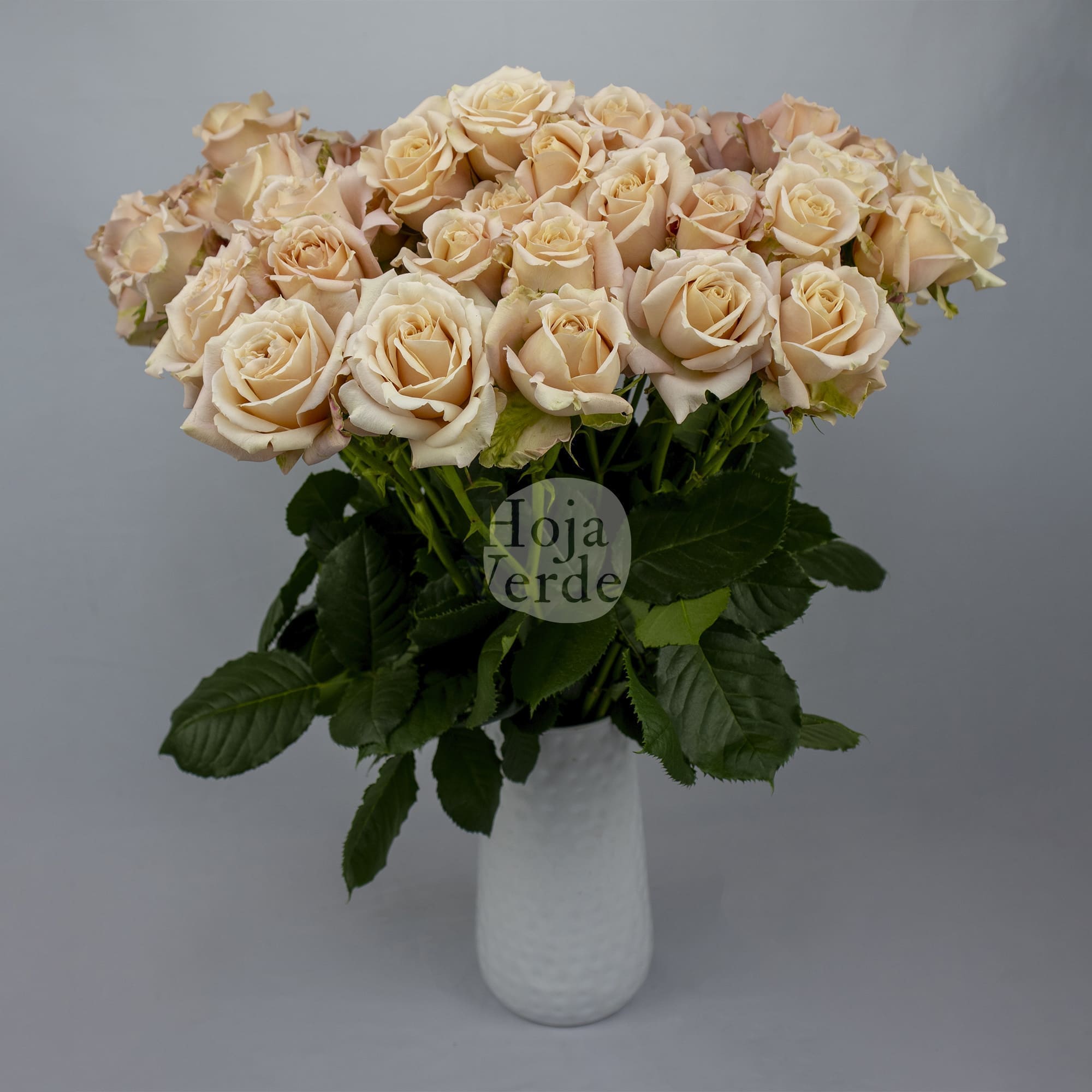 Sahara Sensation, Ecuadorian warm peach spray rose by Hoja Verde