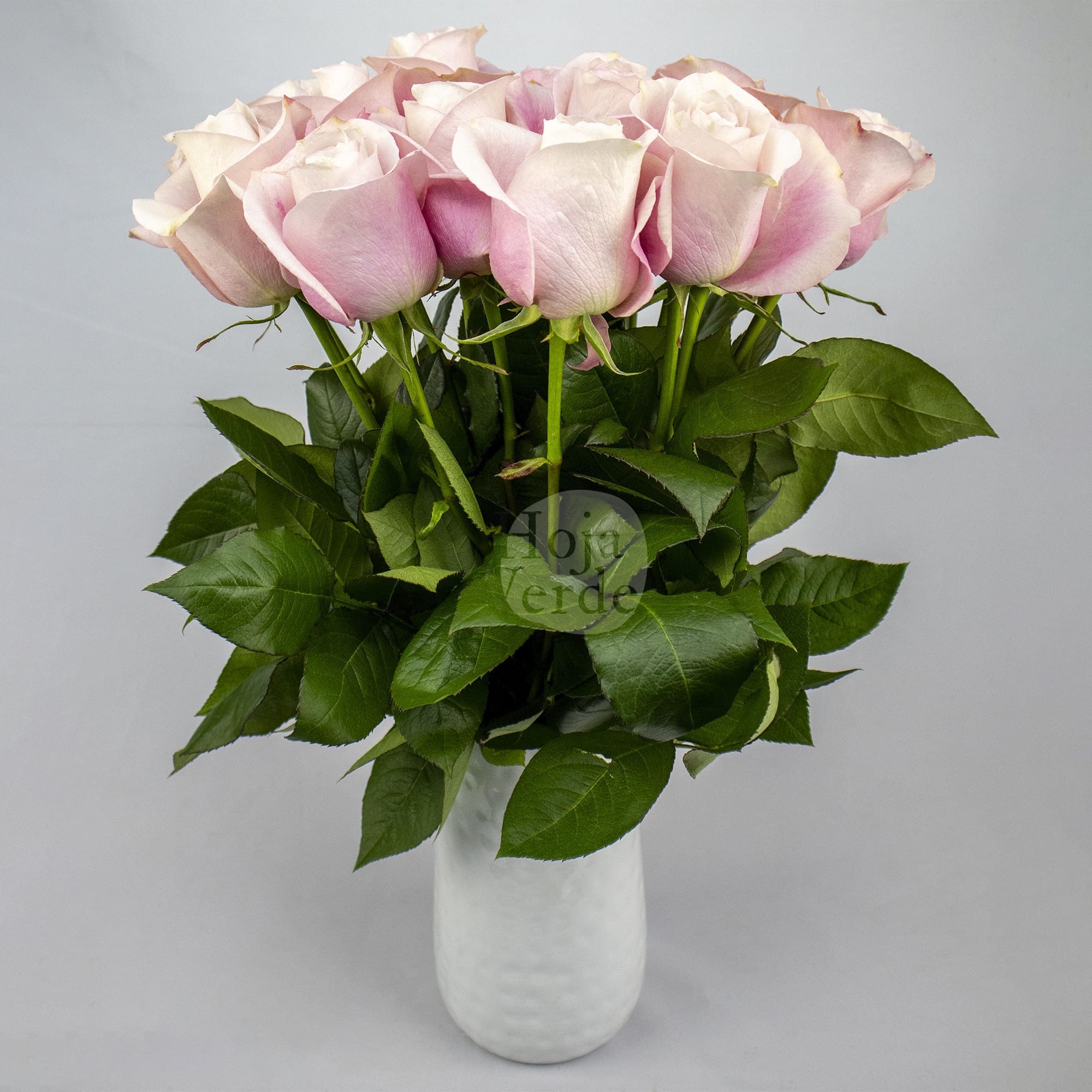 Secret Garden by Hoja Verde, Ecuadorian rose — pale pink shade
