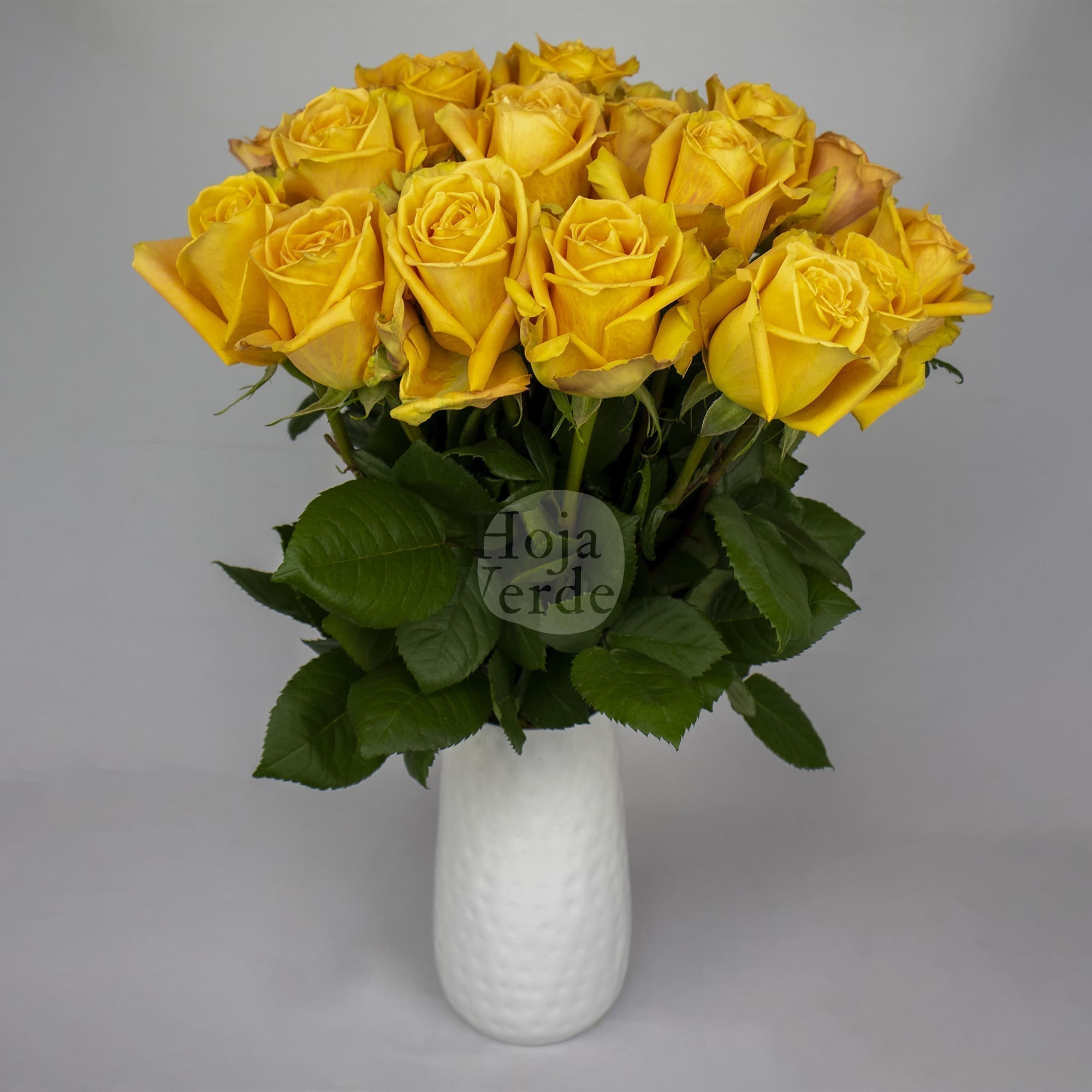 Shukrani by Hoja Verde, Ecuadorian rose — vibrant orange variety with yellow and peach tones
