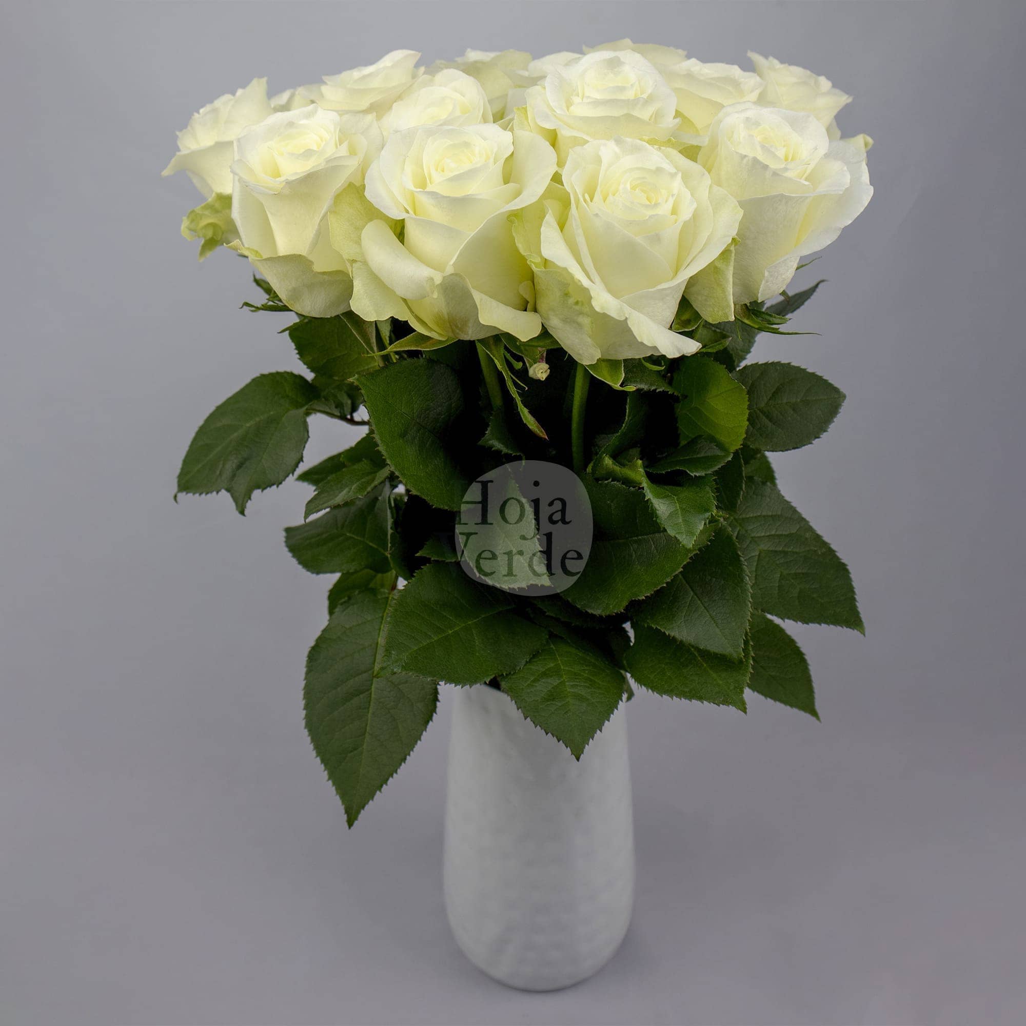 Snow Ballet by Hoja Verde is a premium Ecuadorian rose featuring a pristine white tone
