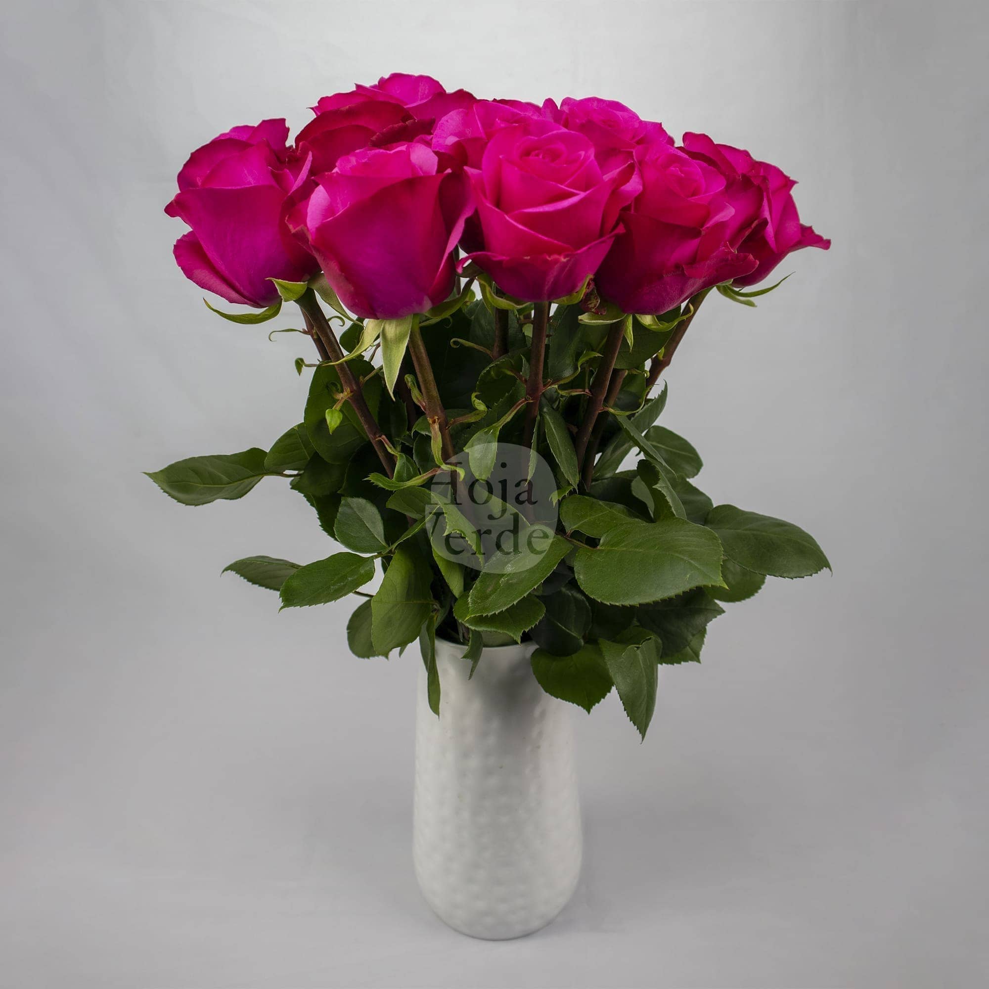 Stiletto by Hoja Verde, premium Ecuadorian rose, bold magenta variety