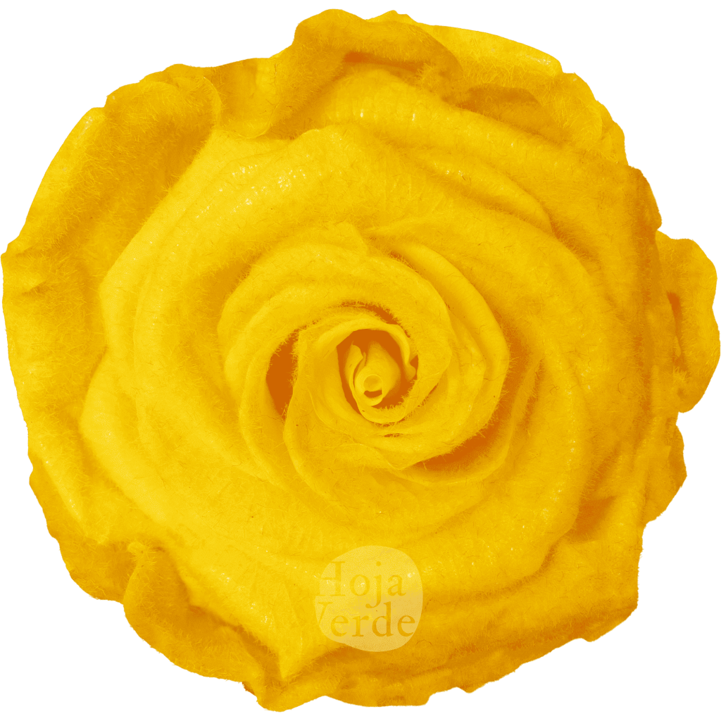 Teddy Sunny Yellow preserved rose — vibrant yellow tone with velvety, fluffy texture by Hoja Verde.