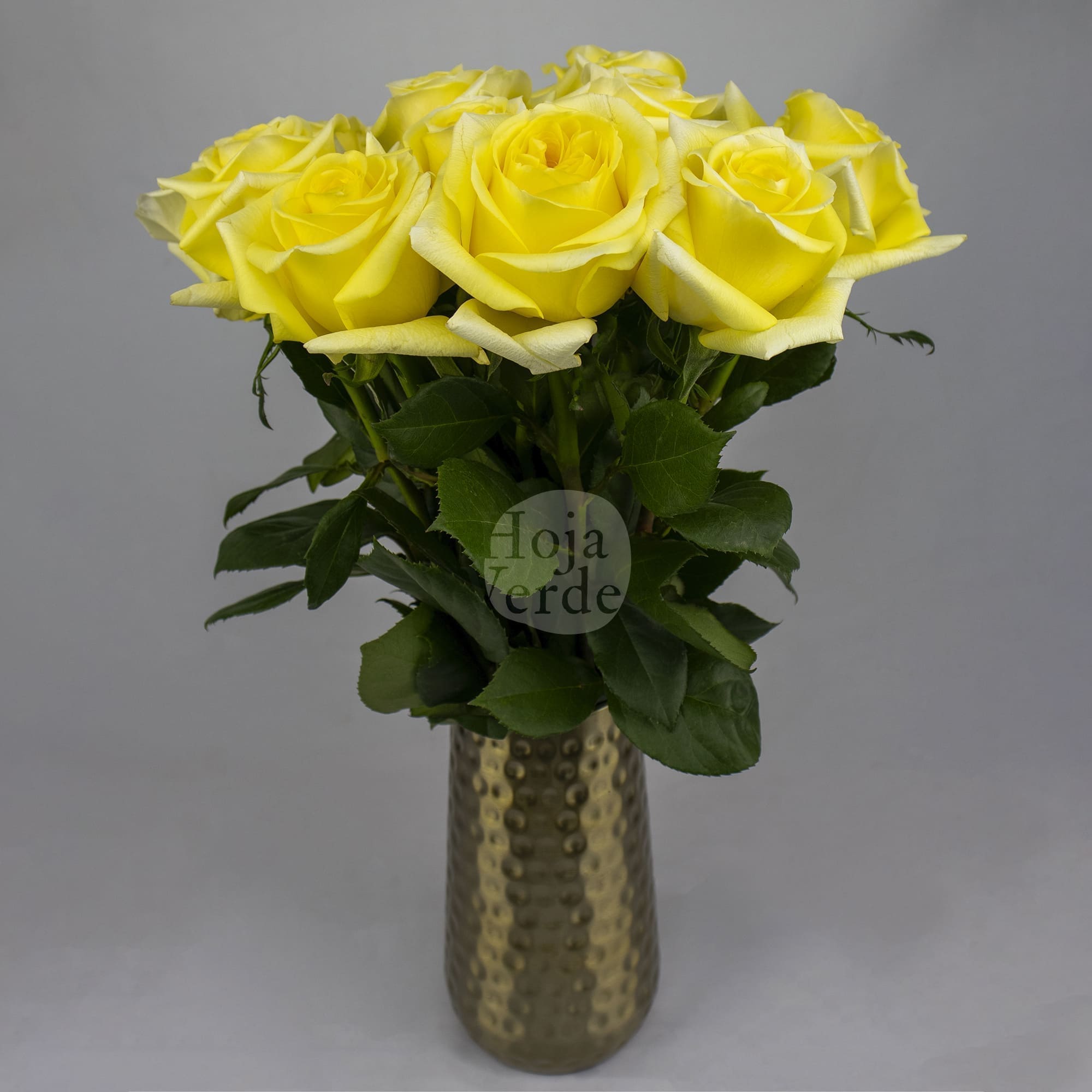 Super Sun by Hoja Verde, premium Ecuadorian rose — bright yellow shade