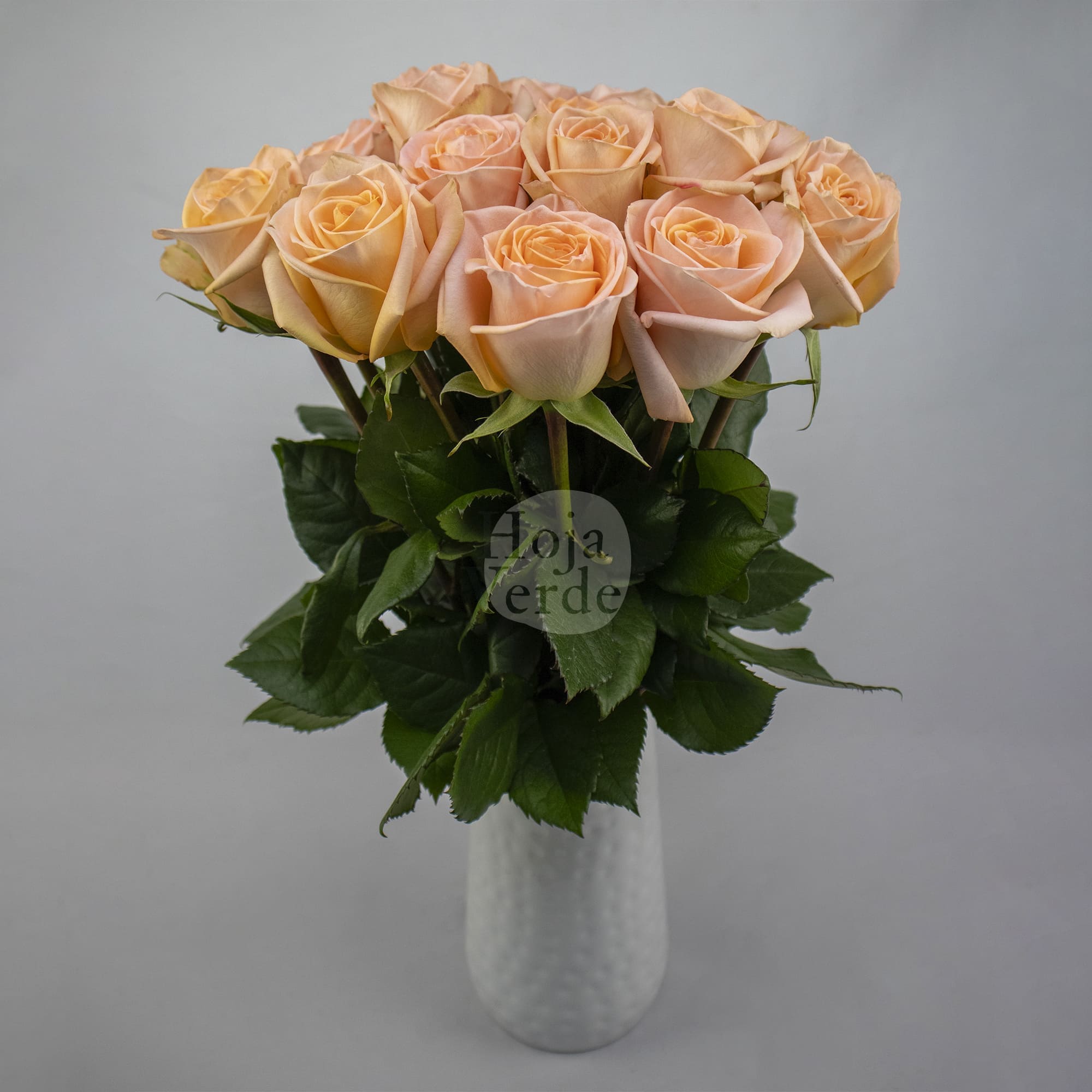 Tiffany by Hoja Verde is a premium Ecuadorian rose featuring a gentle peach hue